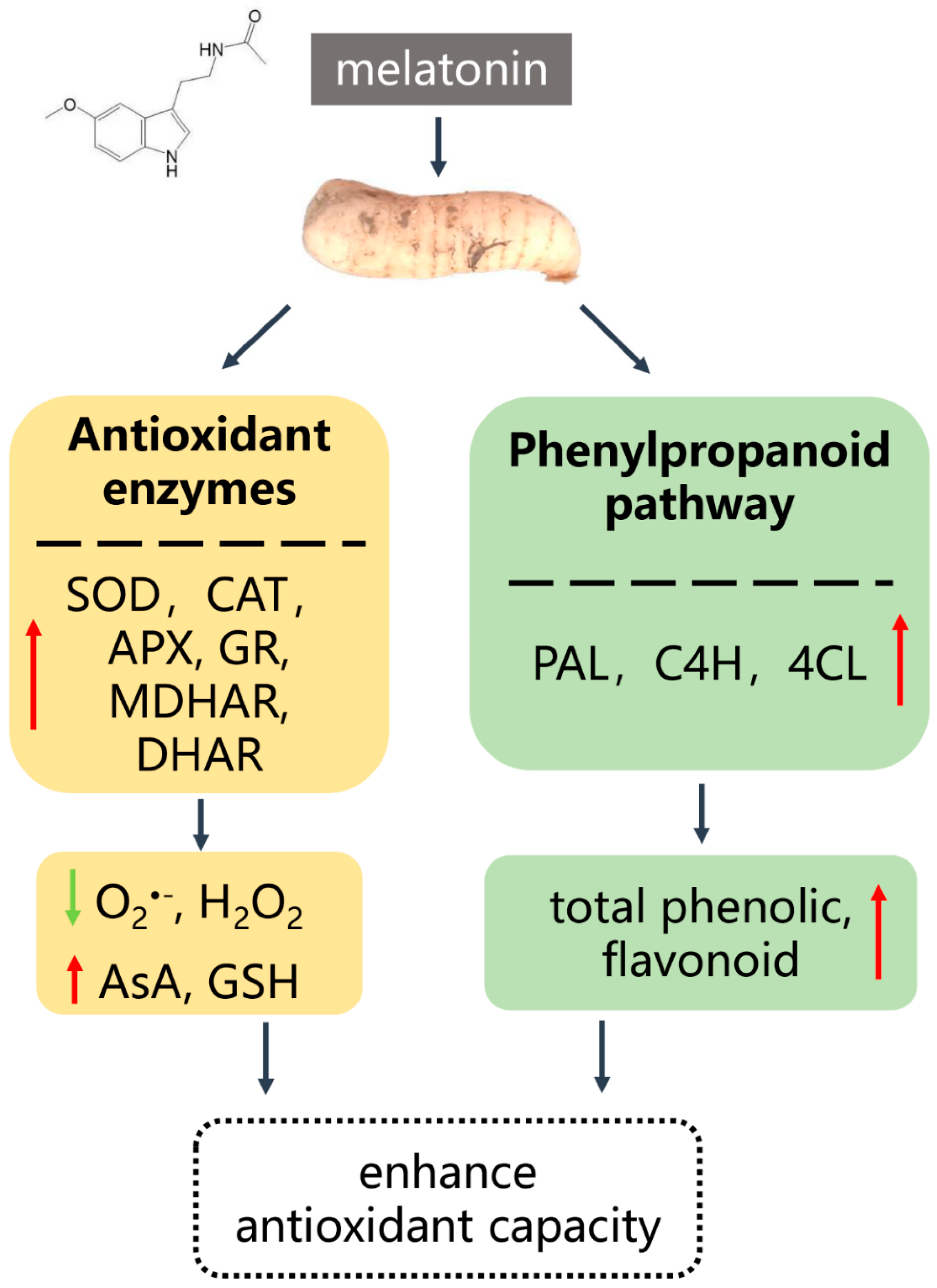 Preprints 83162 g007