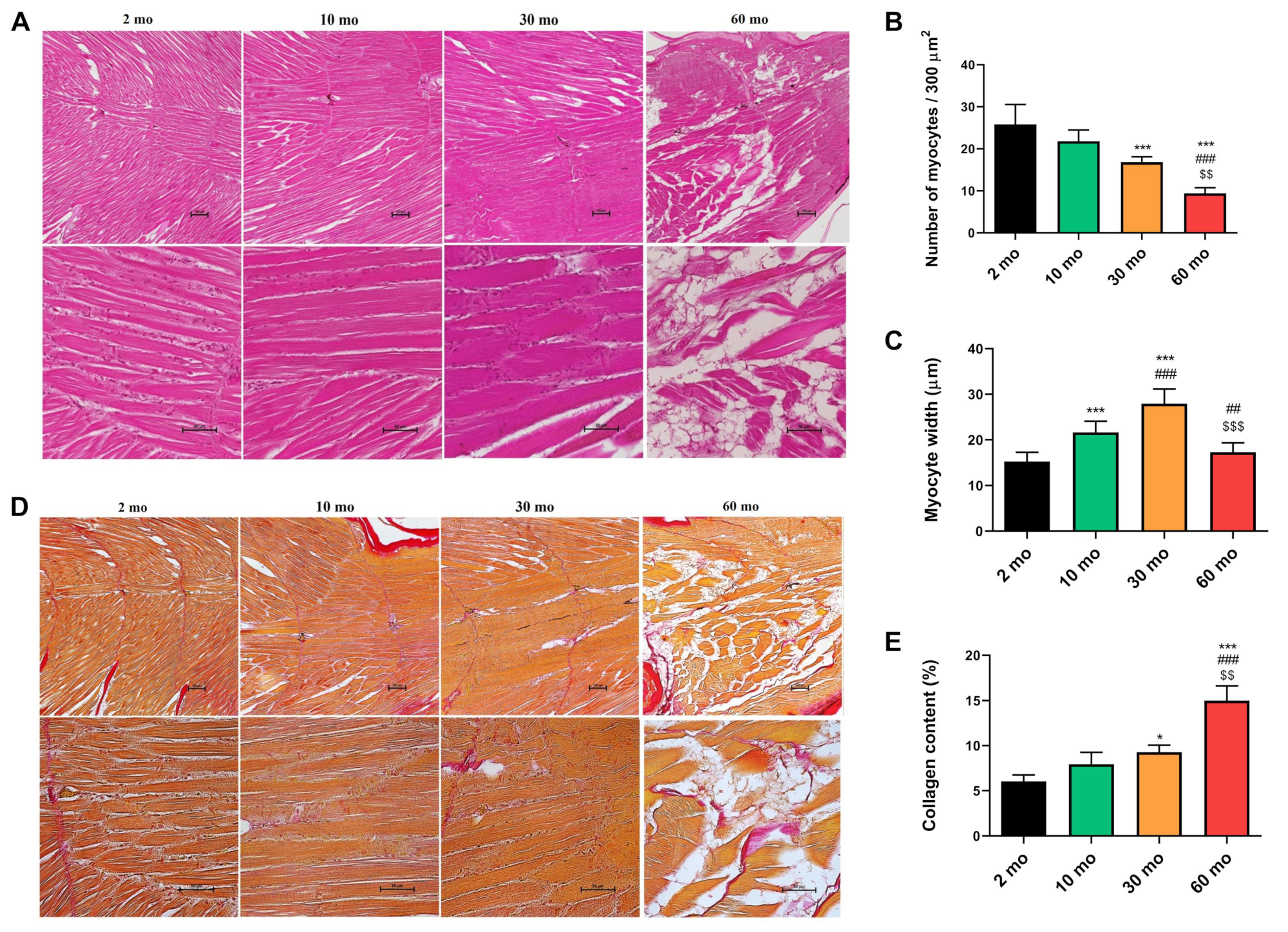 Preprints 106577 g002