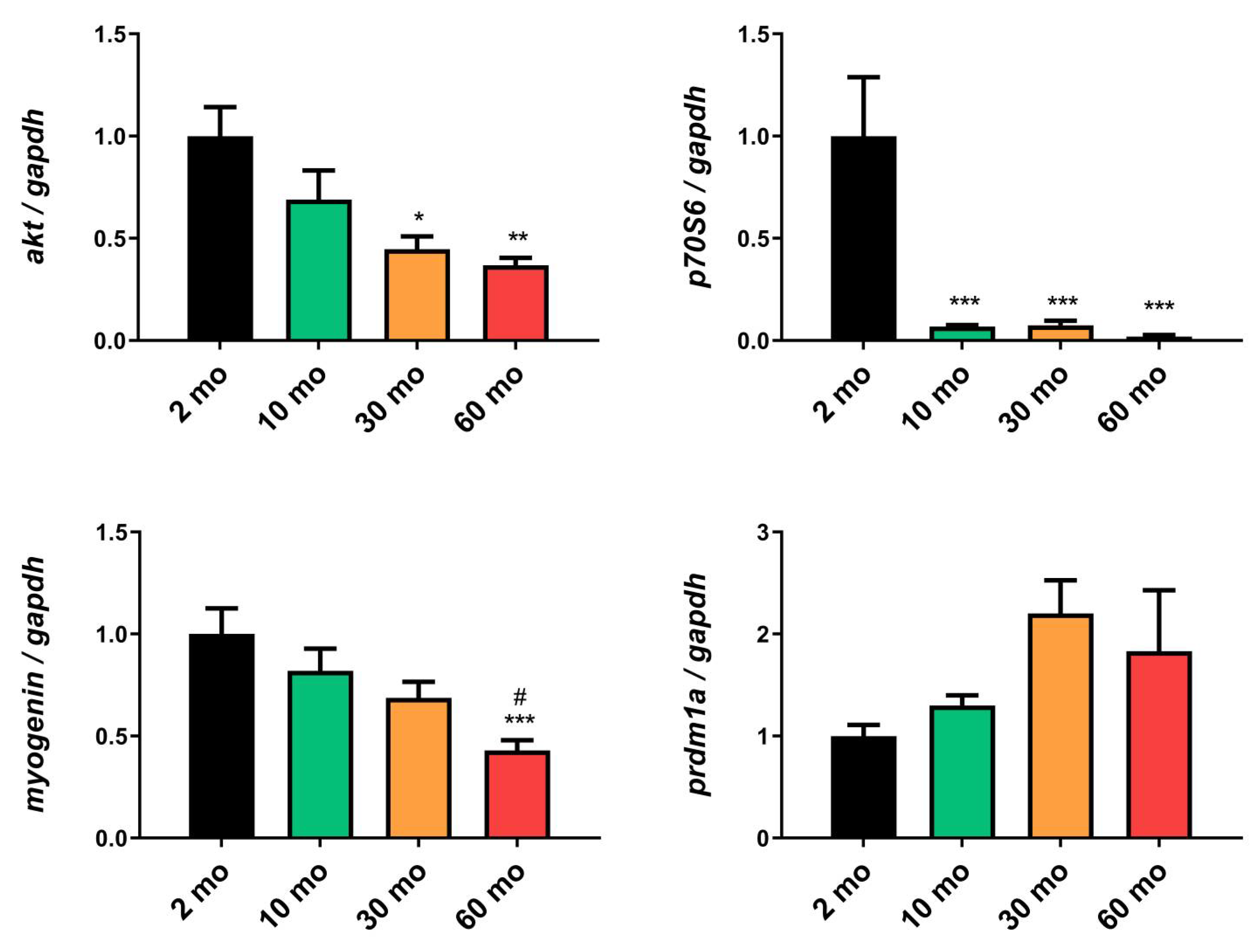 Preprints 106577 g003