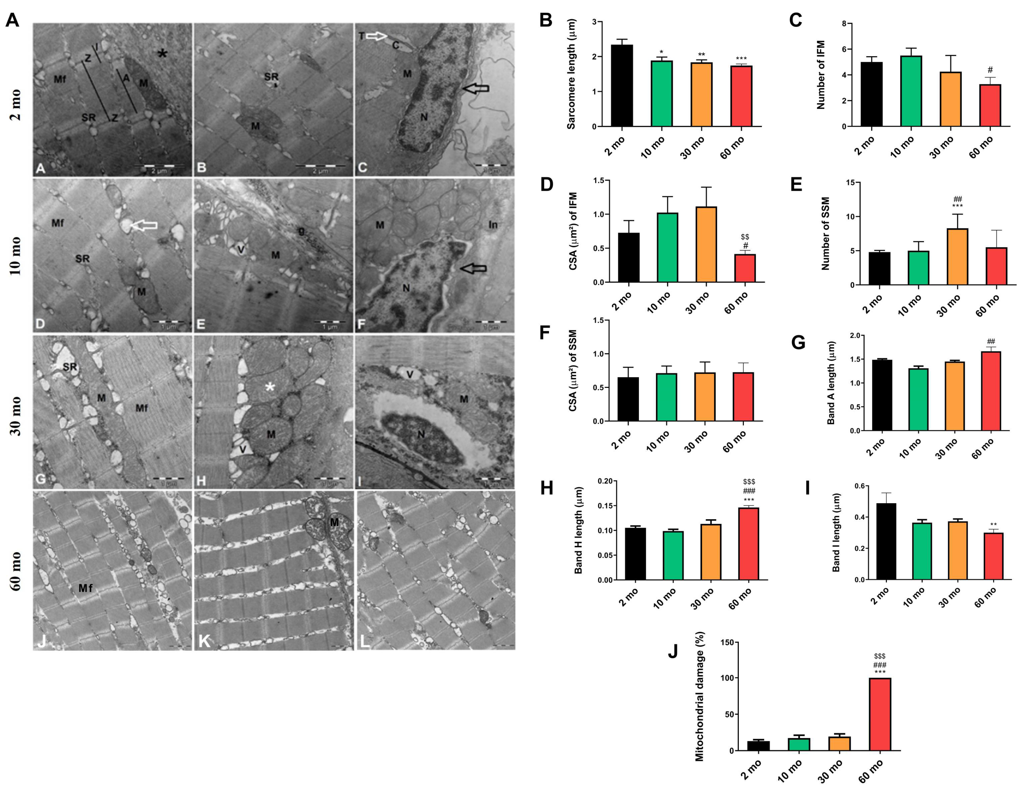 Preprints 106577 g004