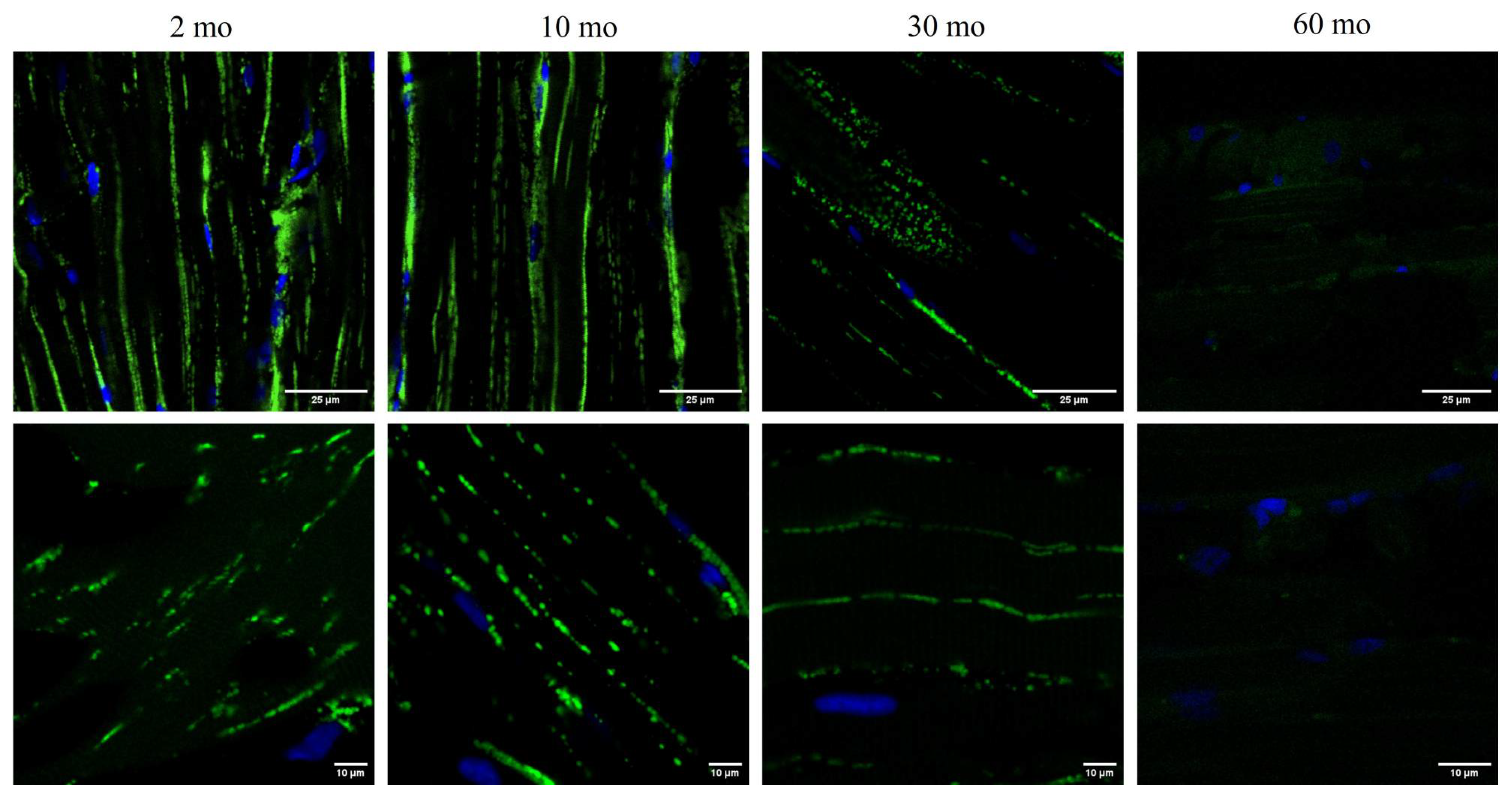 Preprints 106577 g006