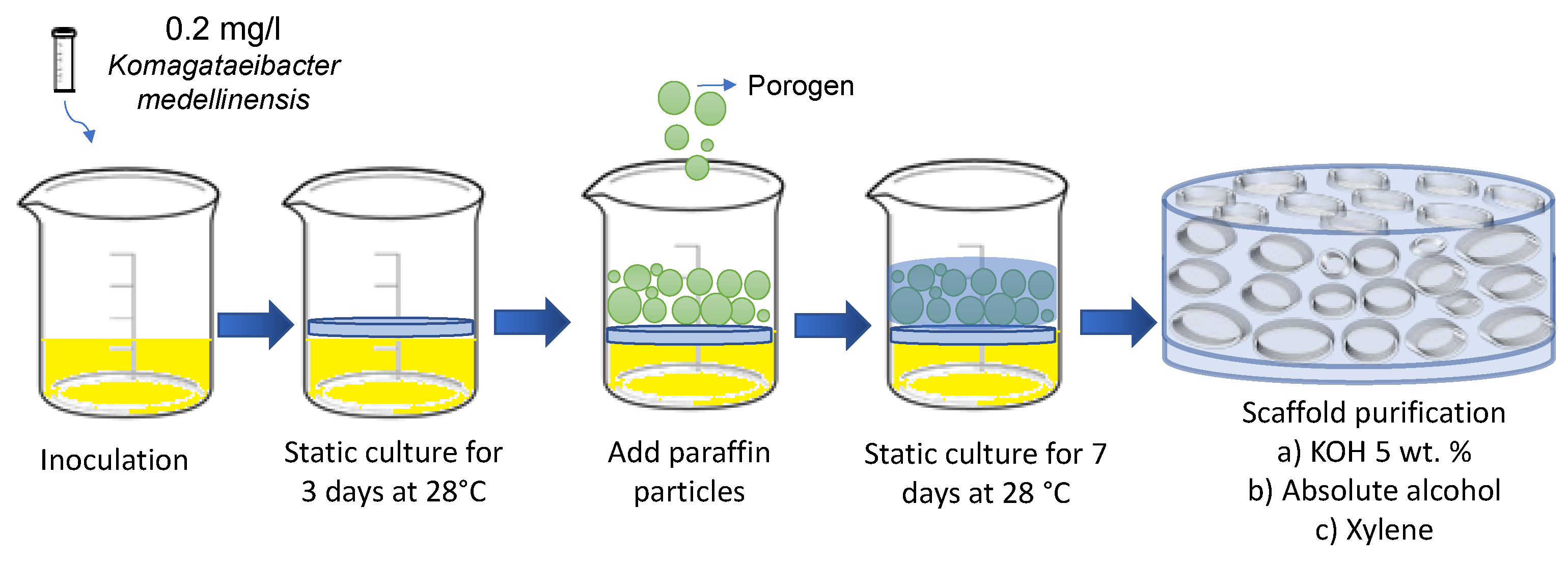 Preprints 69125 g001