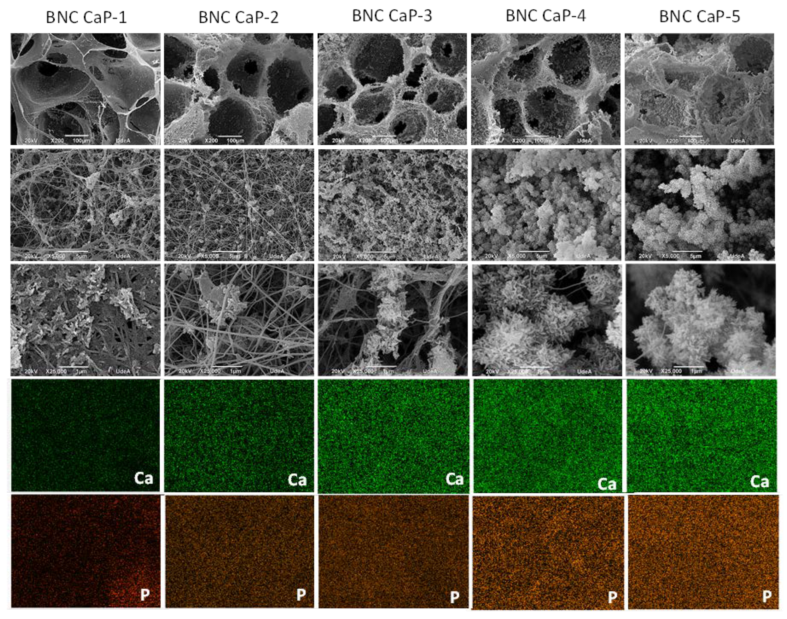 Preprints 69125 g003