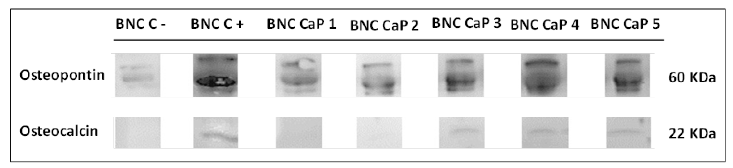 Preprints 69125 g009