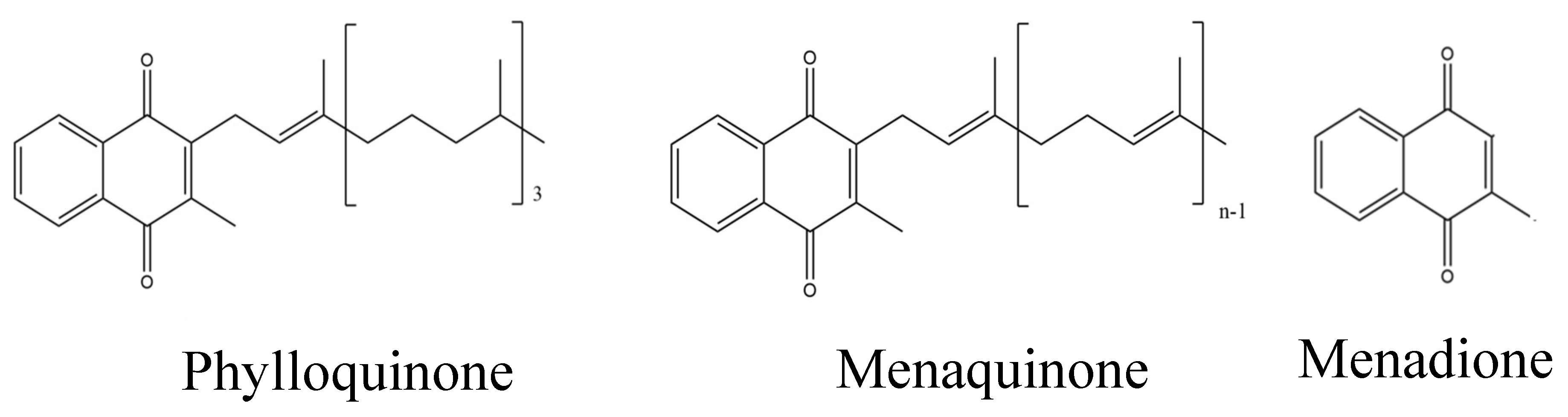 Preprints 108946 g001