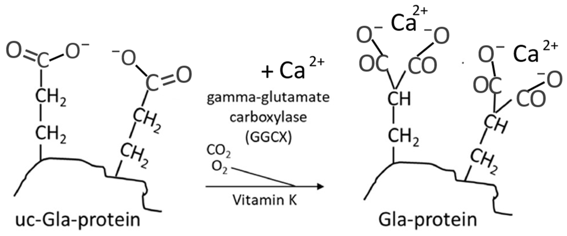 Preprints 108946 g002