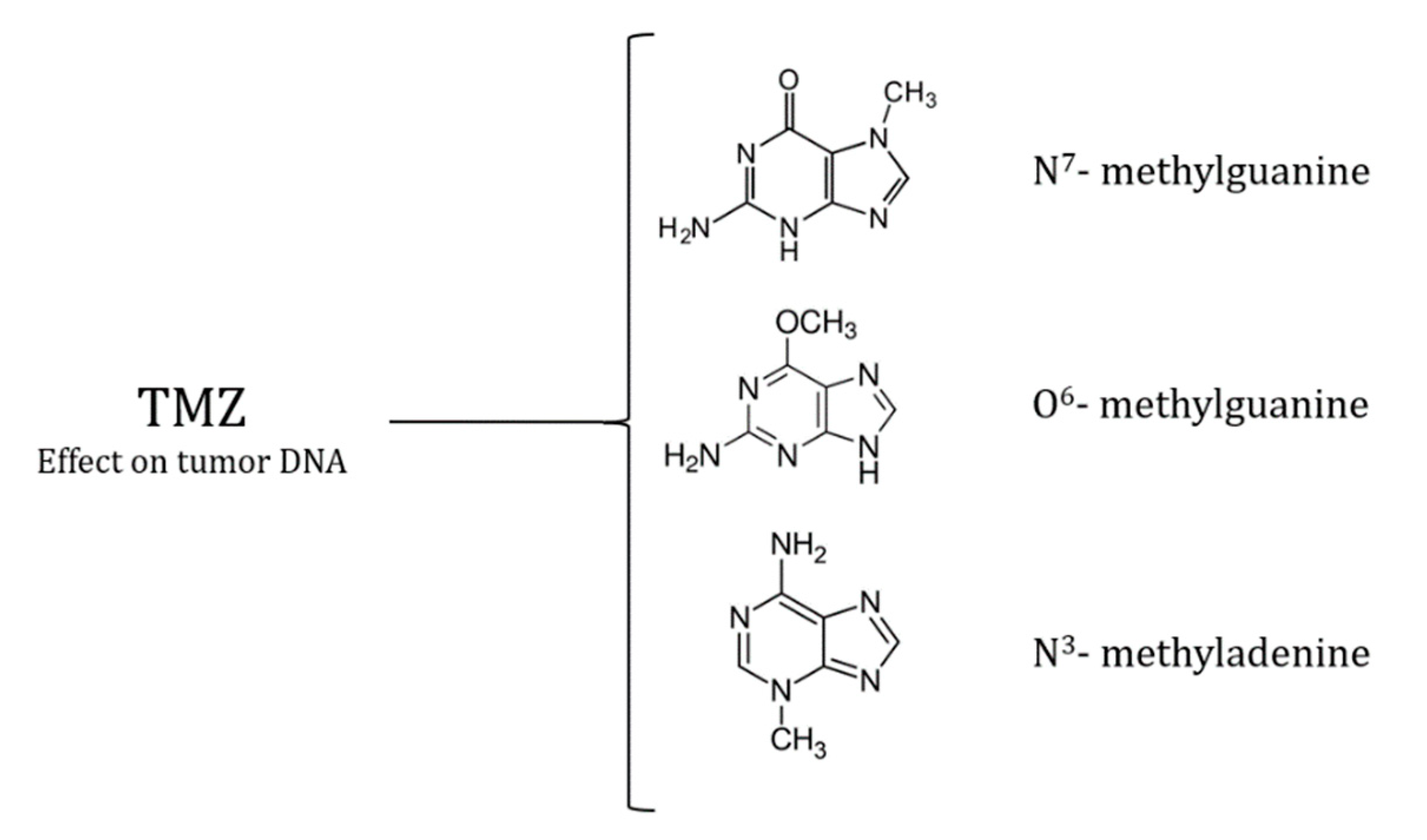 Preprints 96974 g001