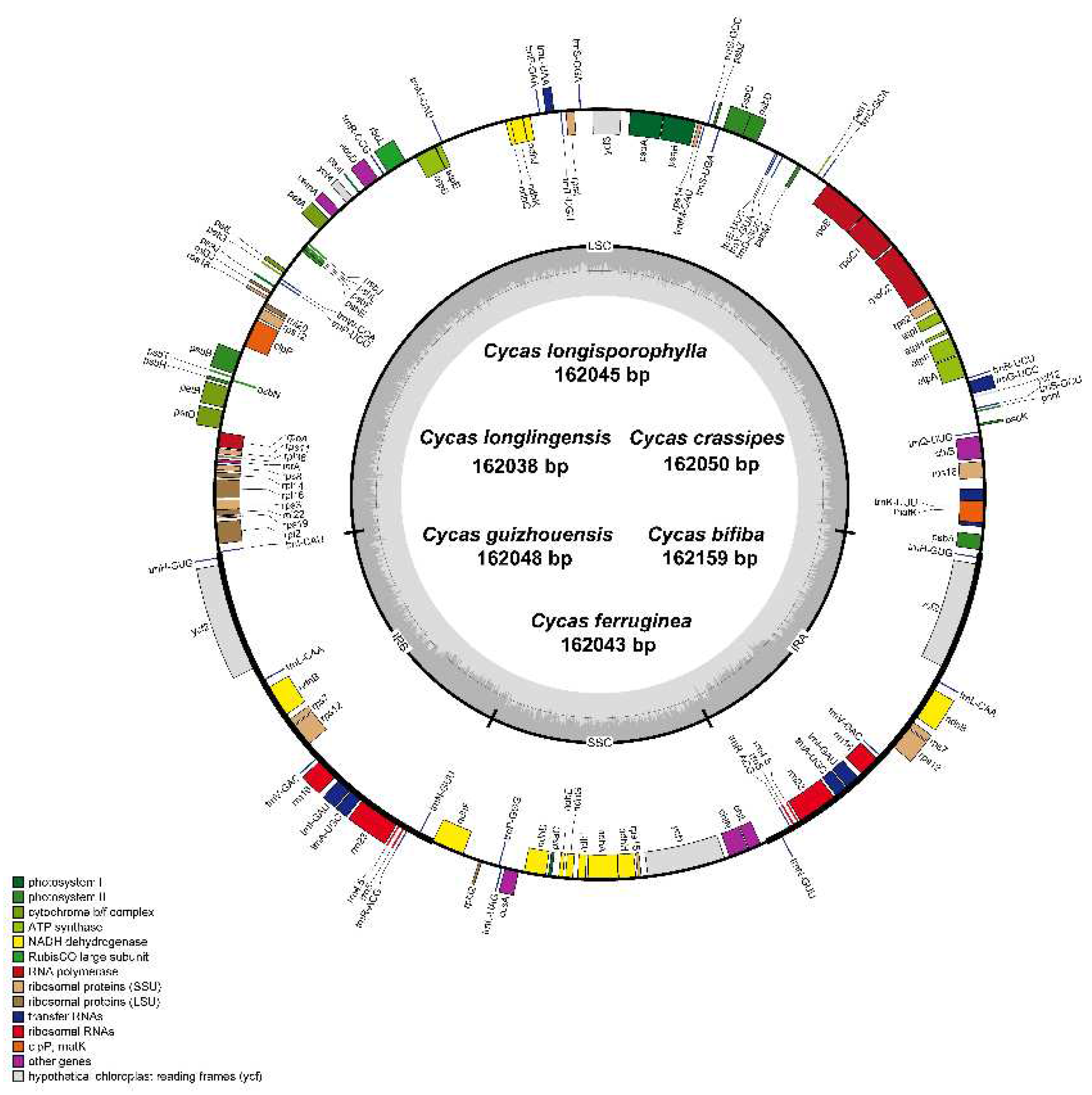 Preprints 84422 g001