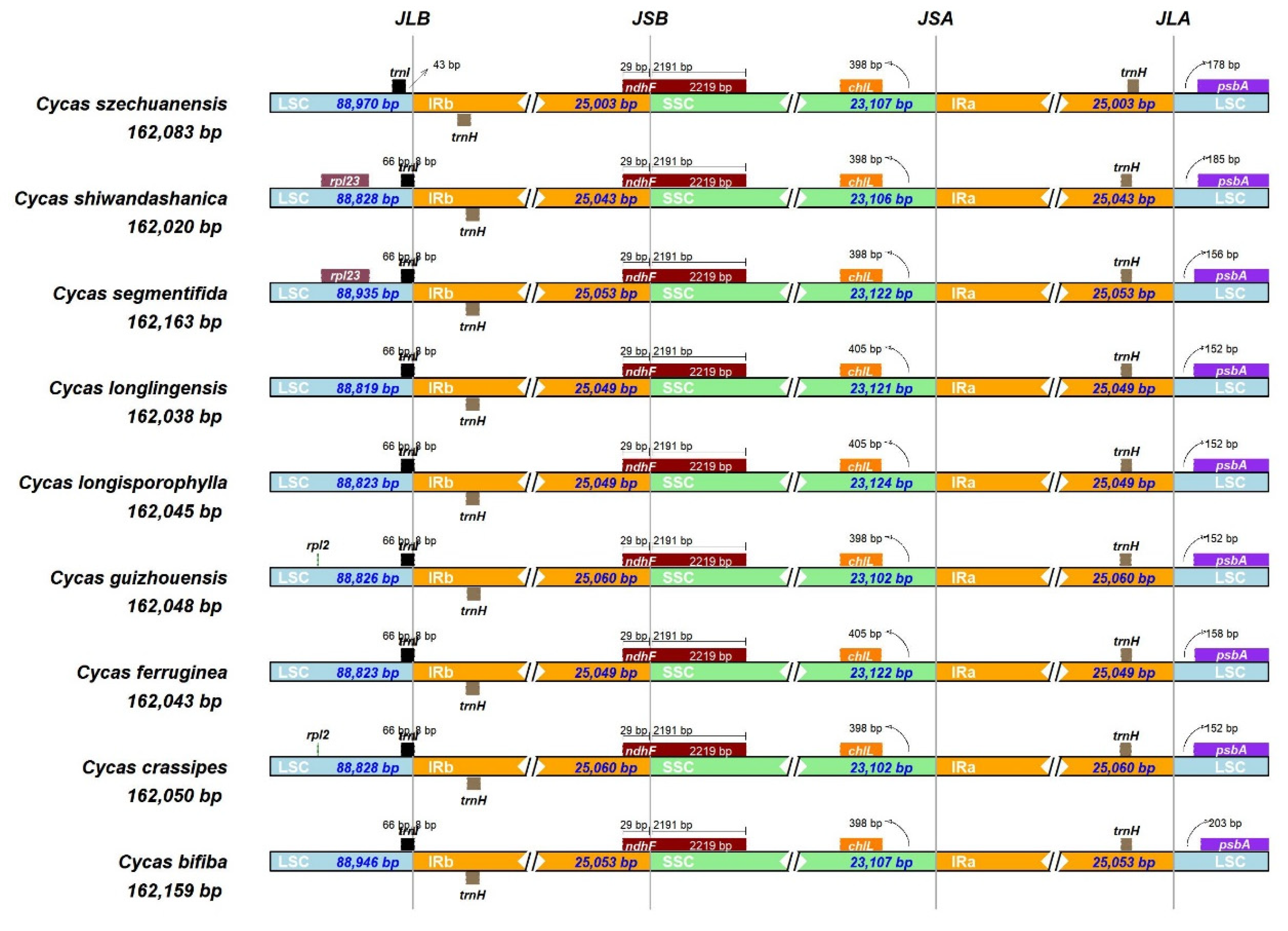 Preprints 84422 g002