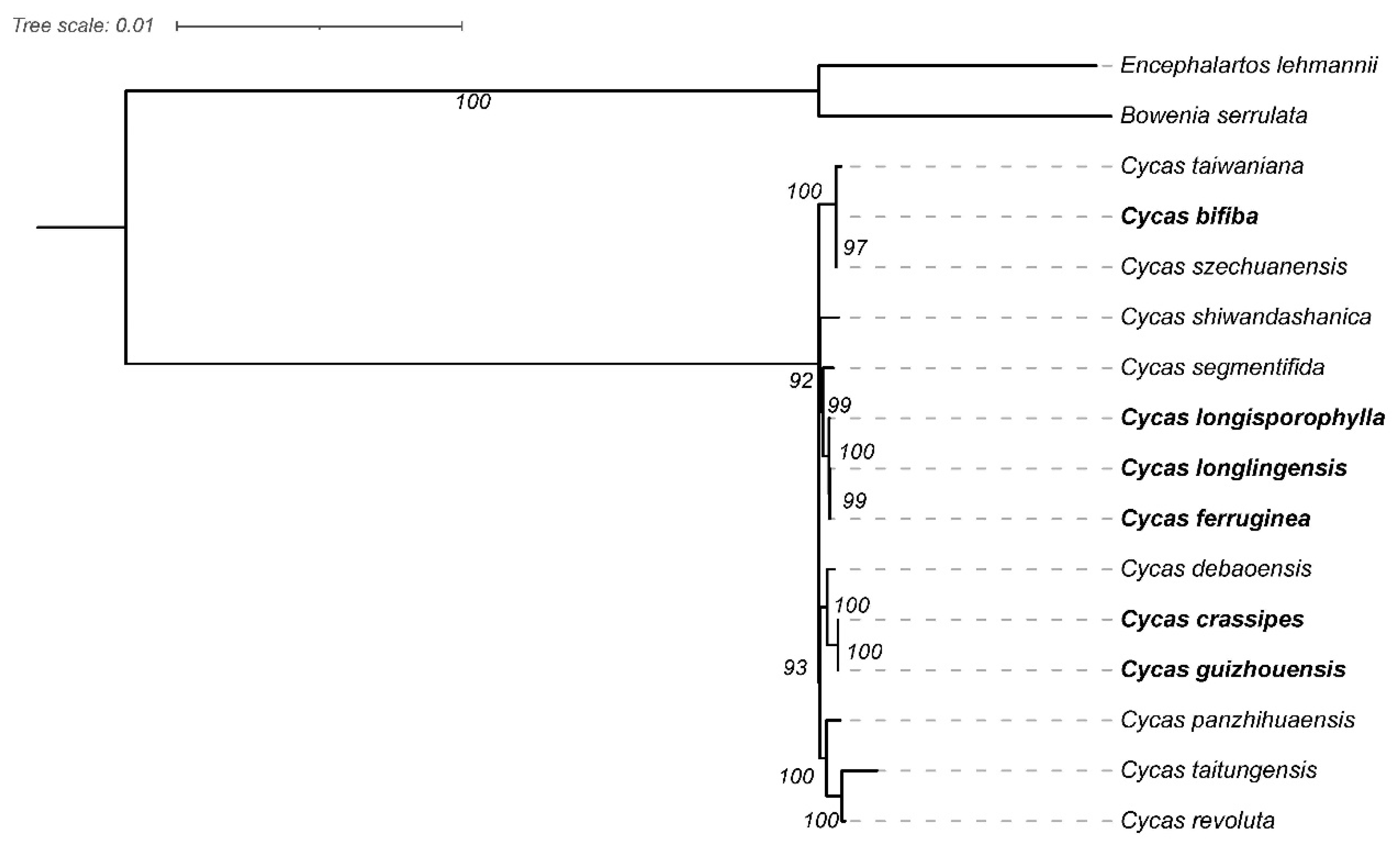 Preprints 84422 g006