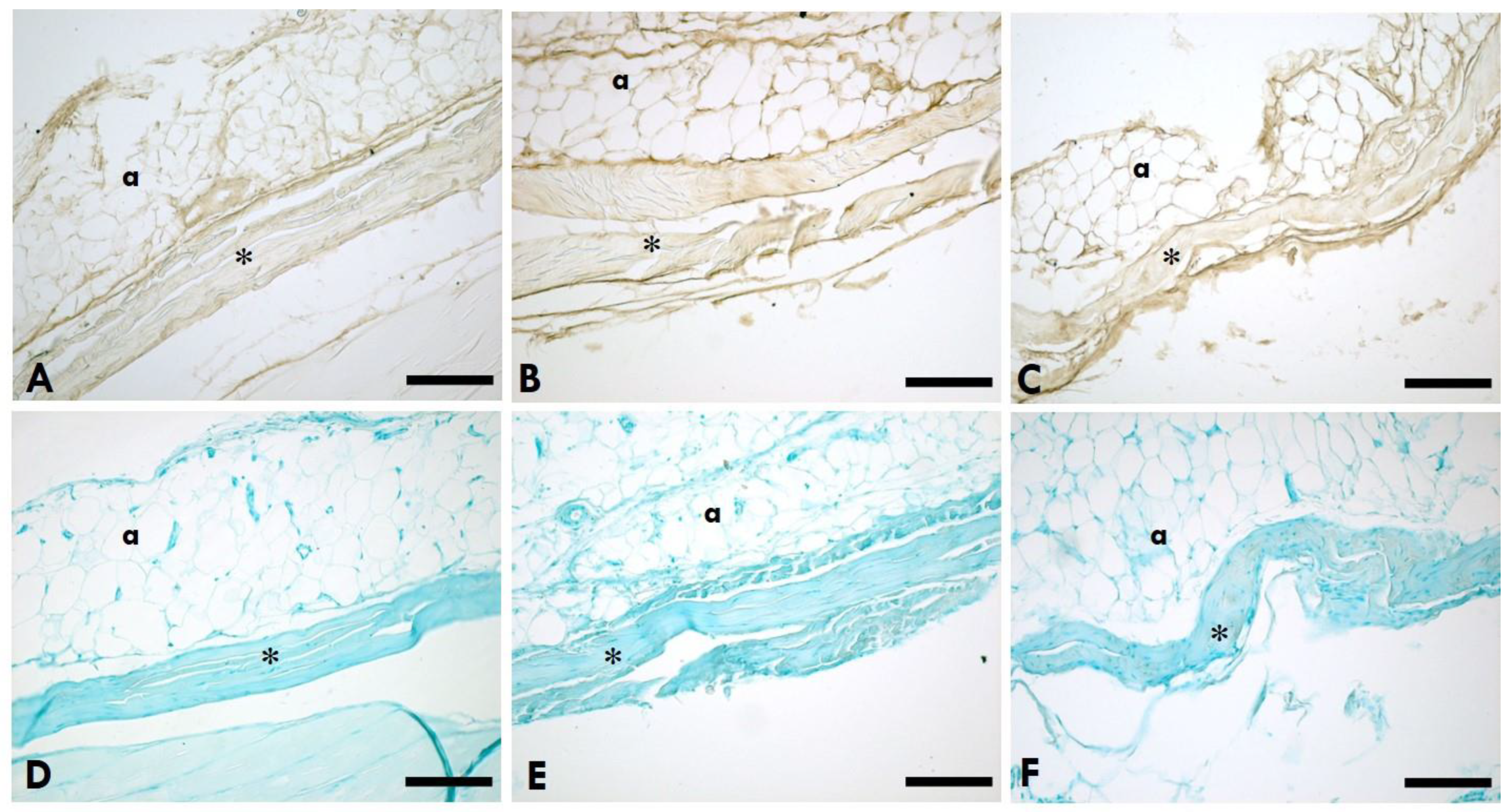 Preprints 111186 g002