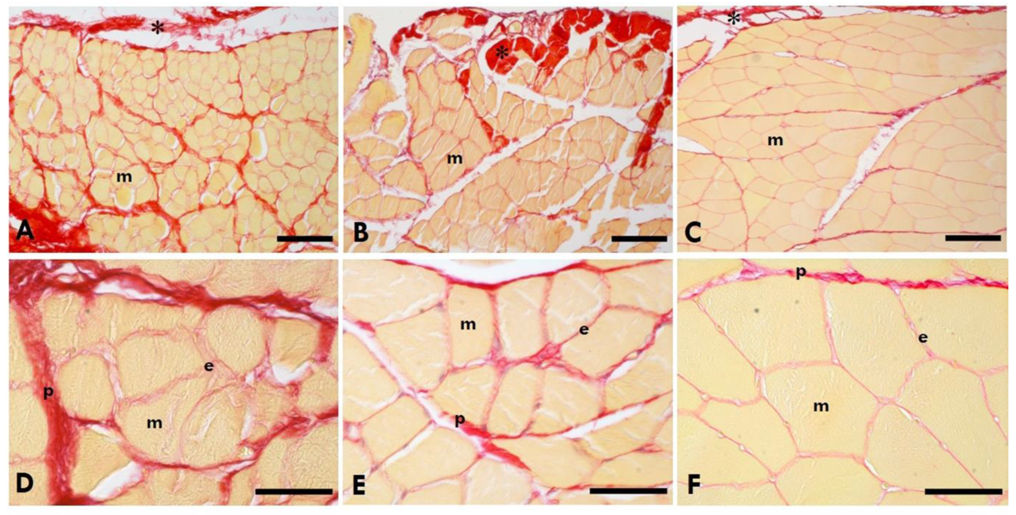 Preprints 111186 g003