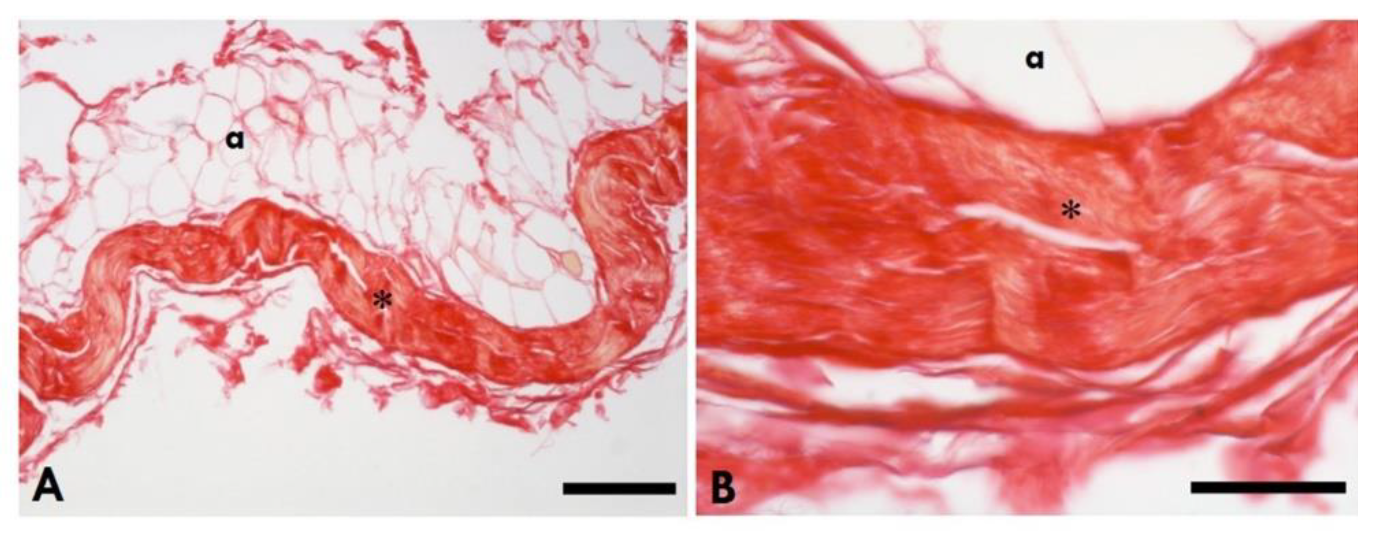 Preprints 111186 g004