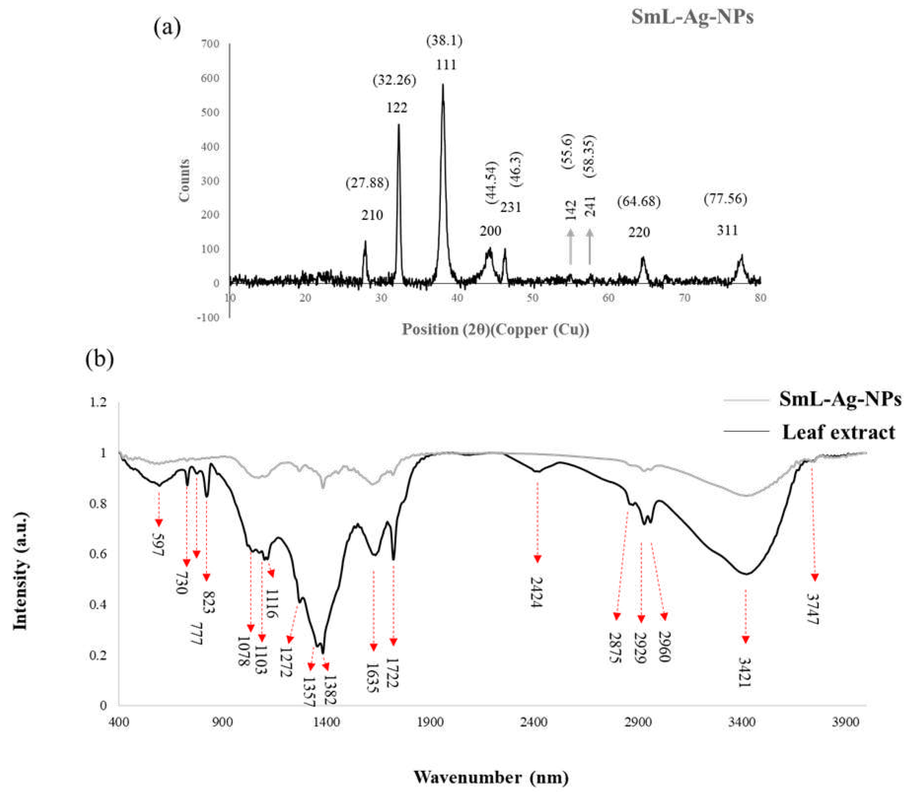 Preprints 76774 g005