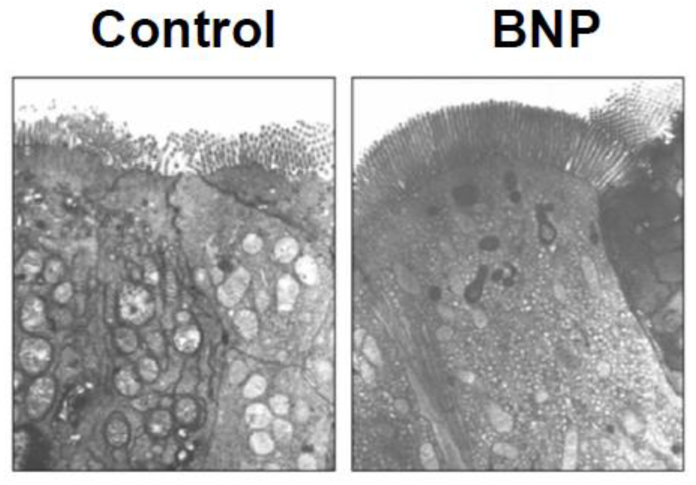 Preprints 72355 g003