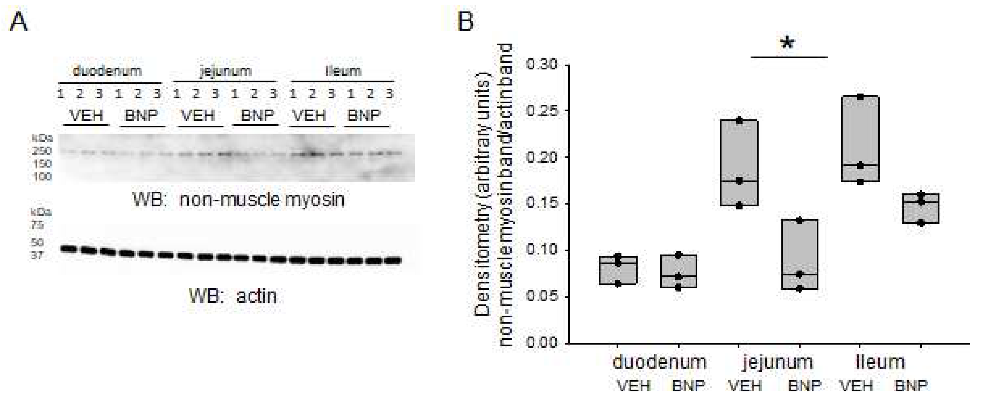 Preprints 72355 g004