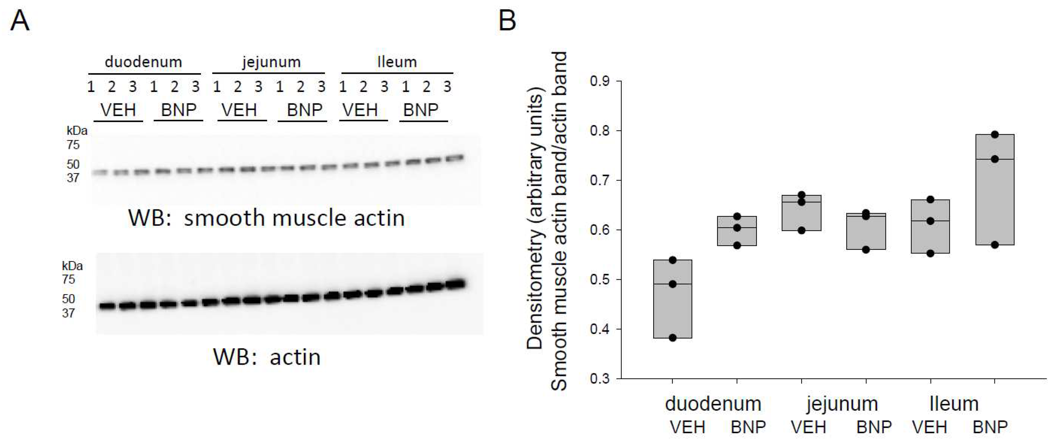 Preprints 72355 g005