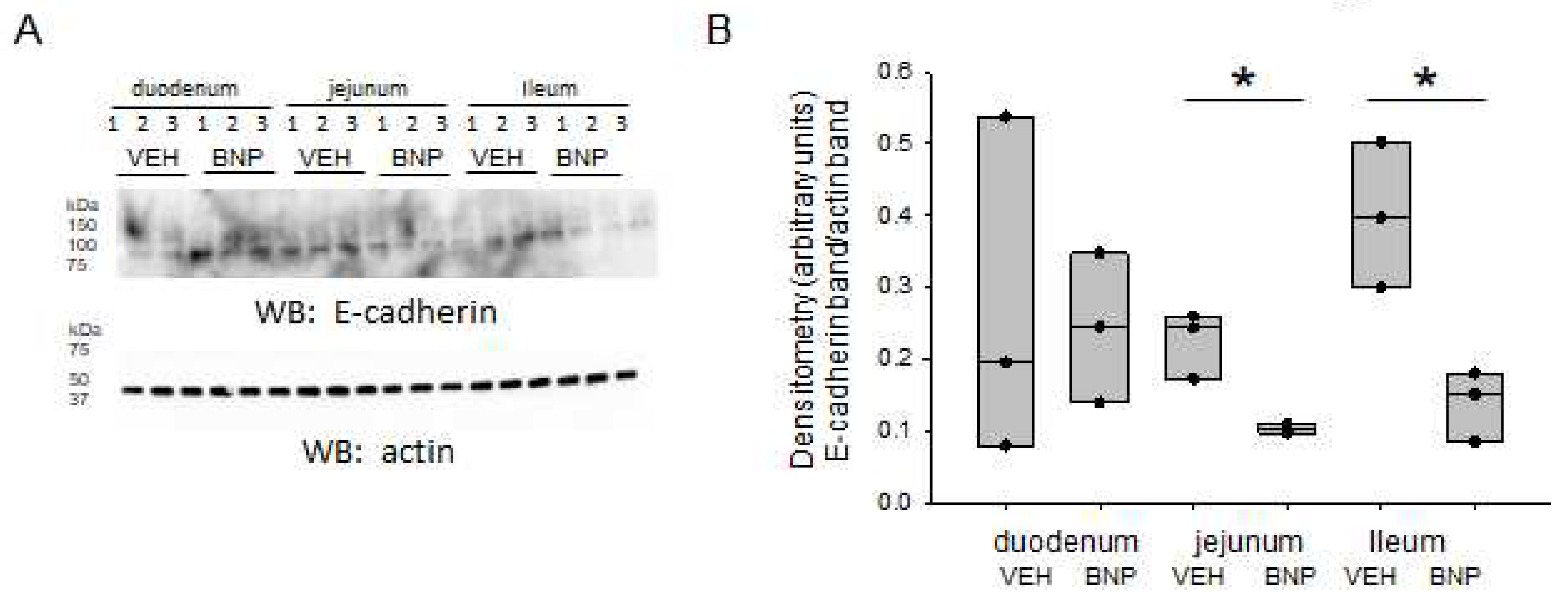 Preprints 72355 g006