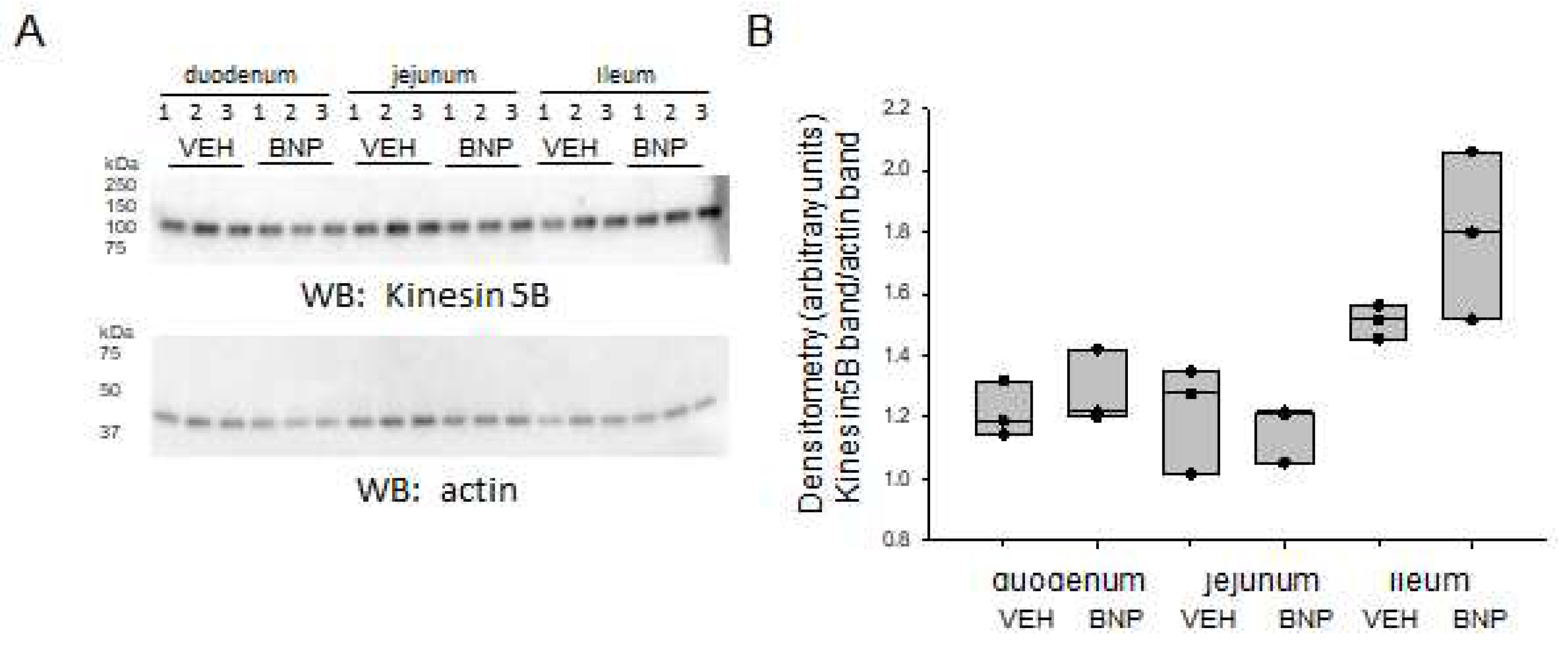 Preprints 72355 g007