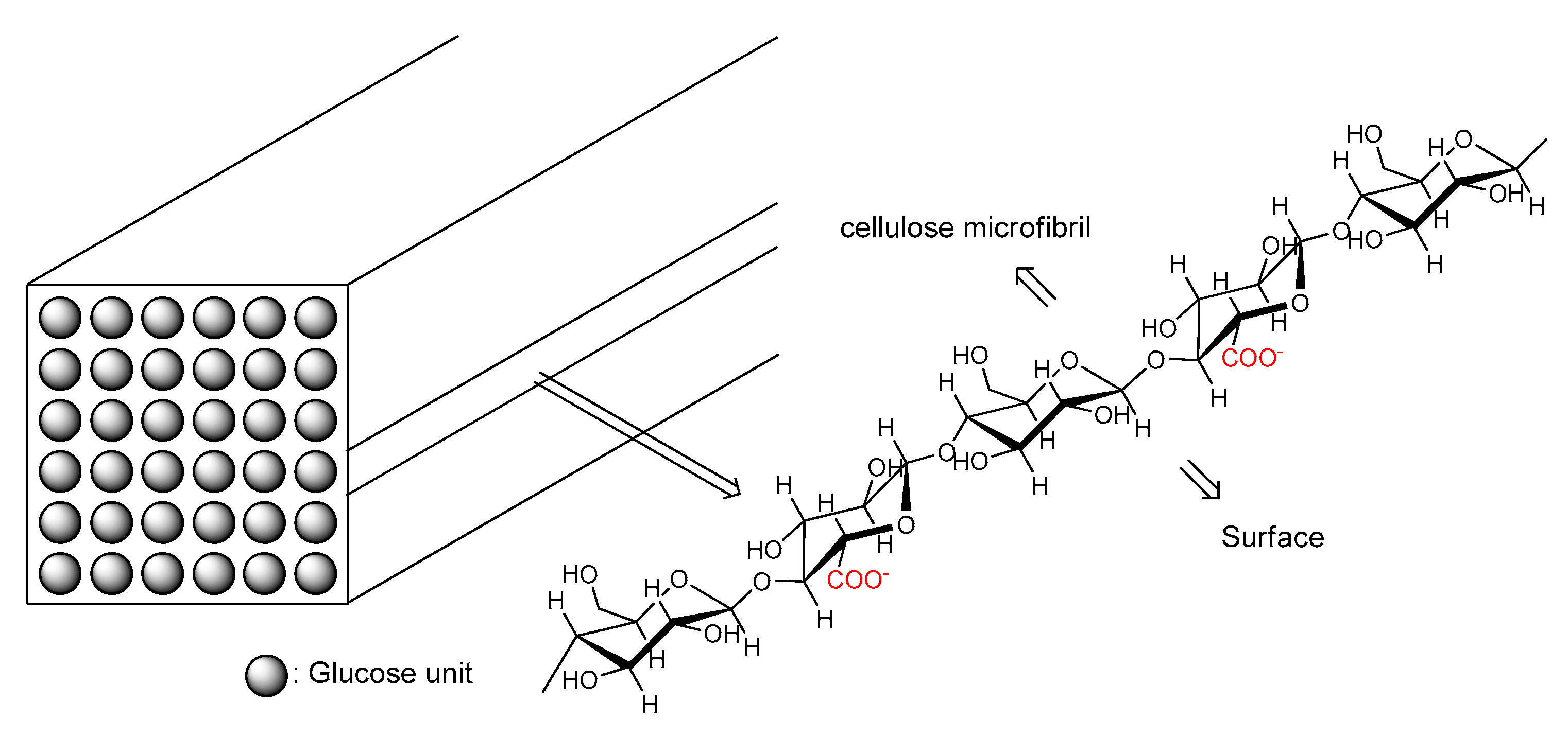 Preprints 86277 g004