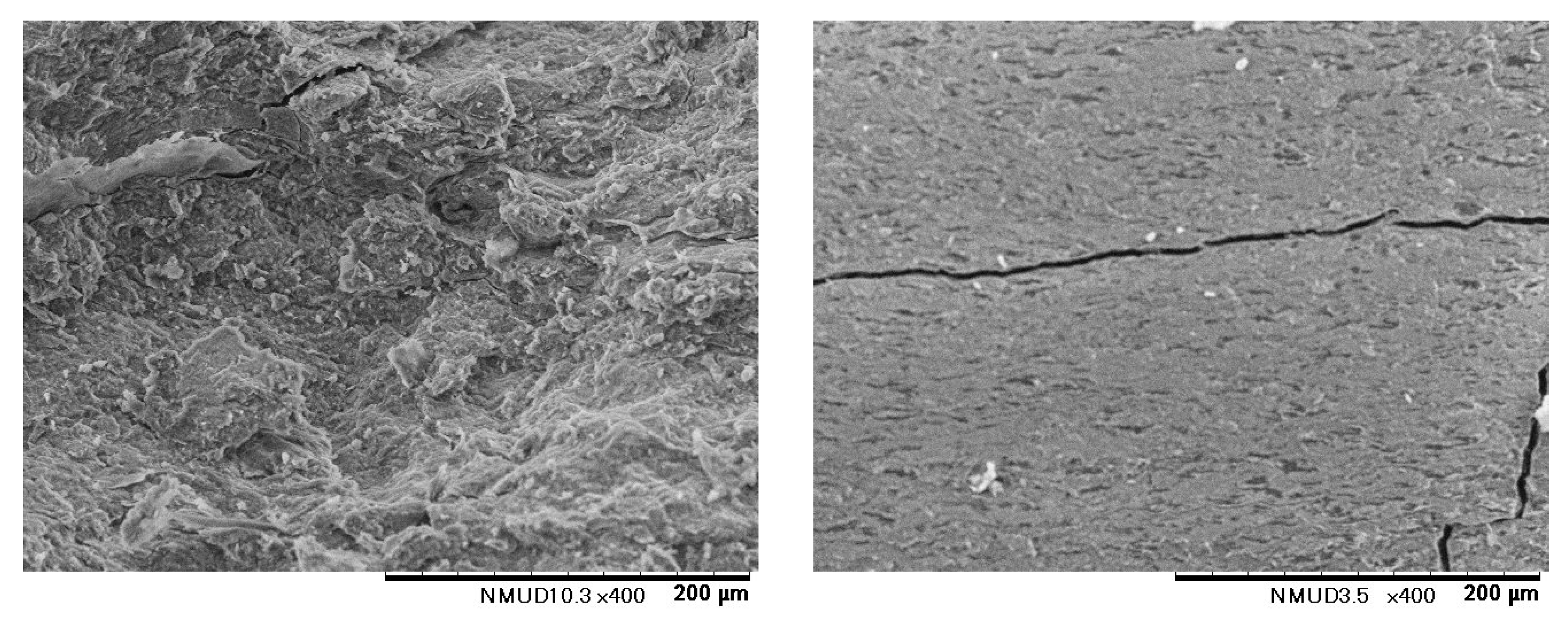 Preprints 86277 g005