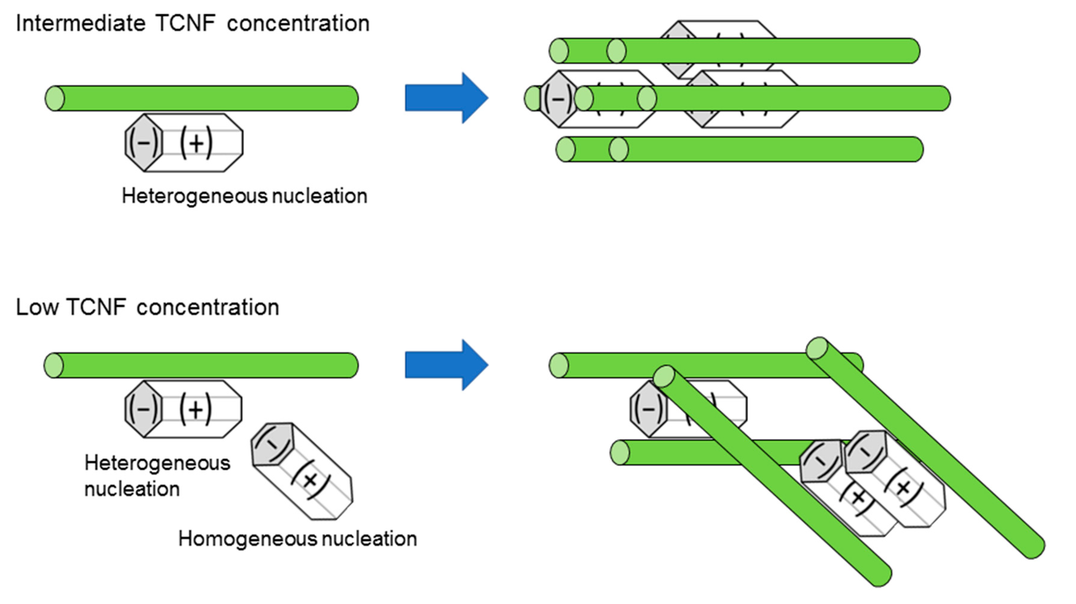 Preprints 86277 g006