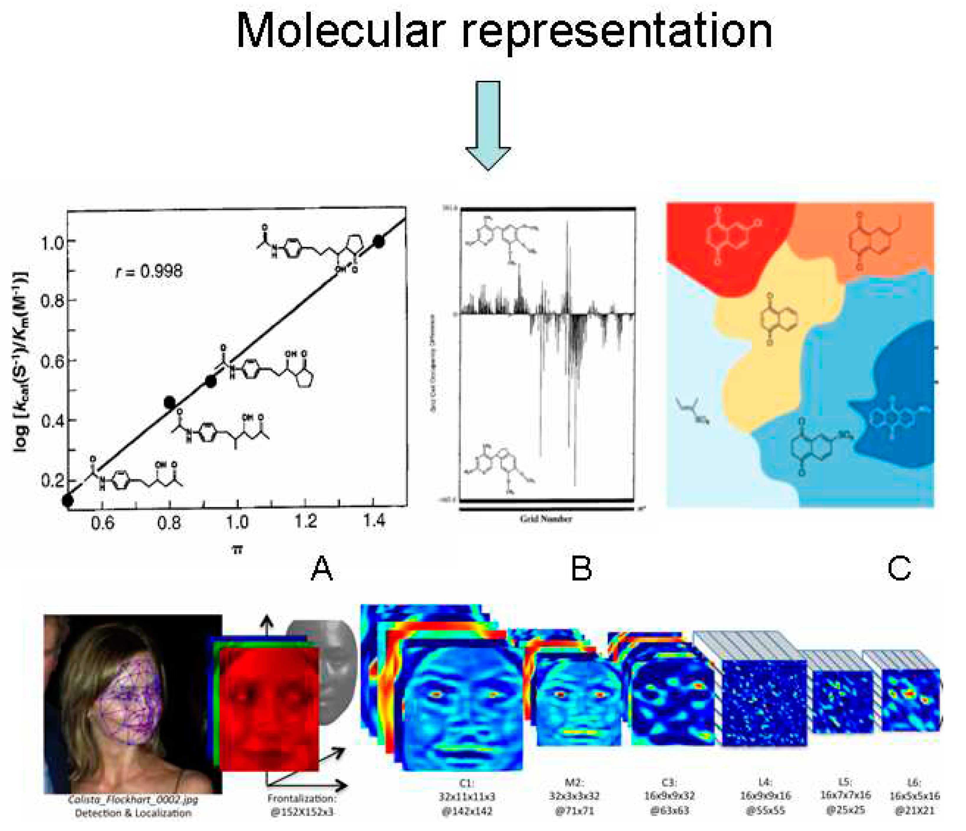 Preprints 92325 g001