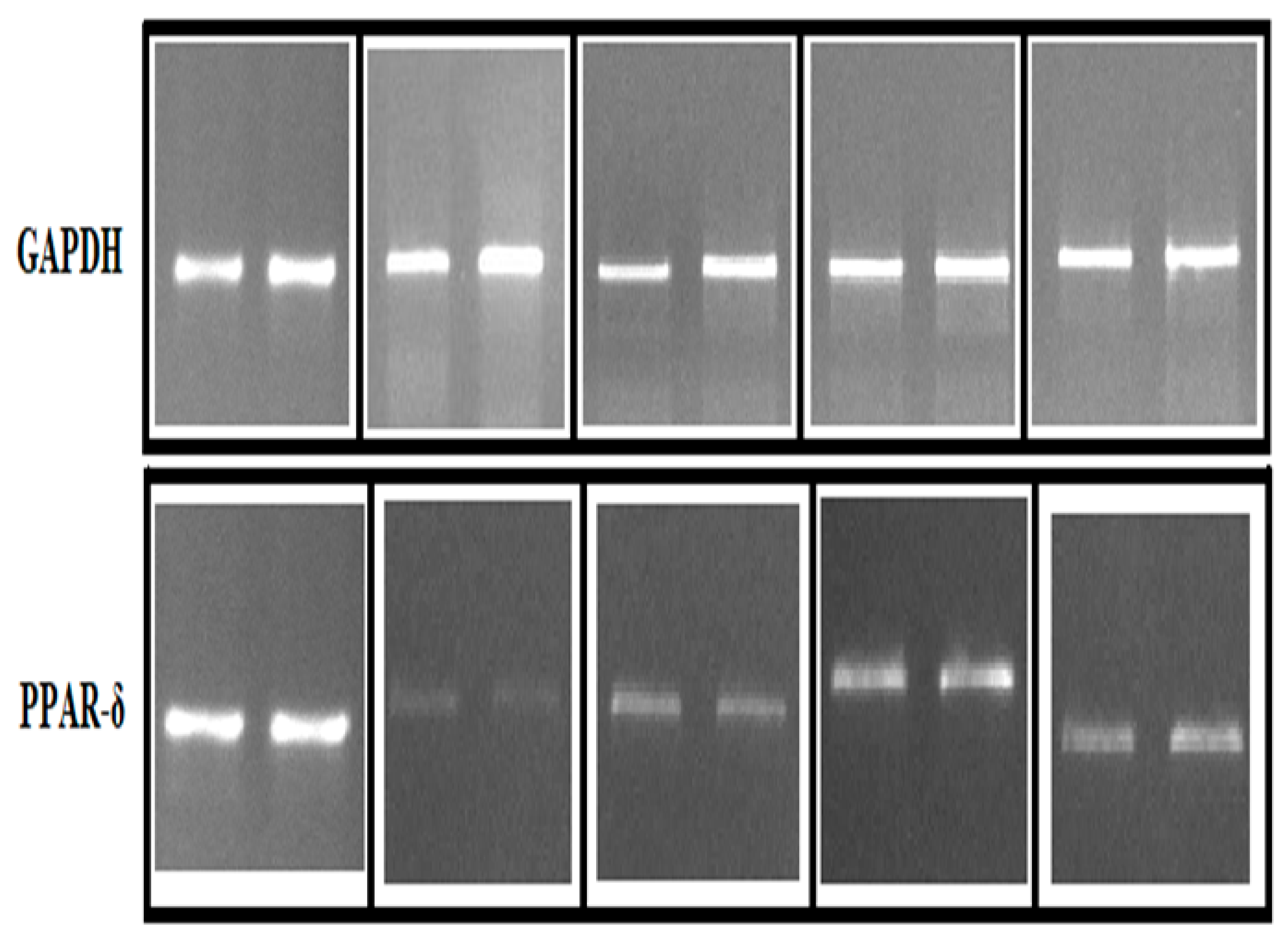 Preprints 75939 g013