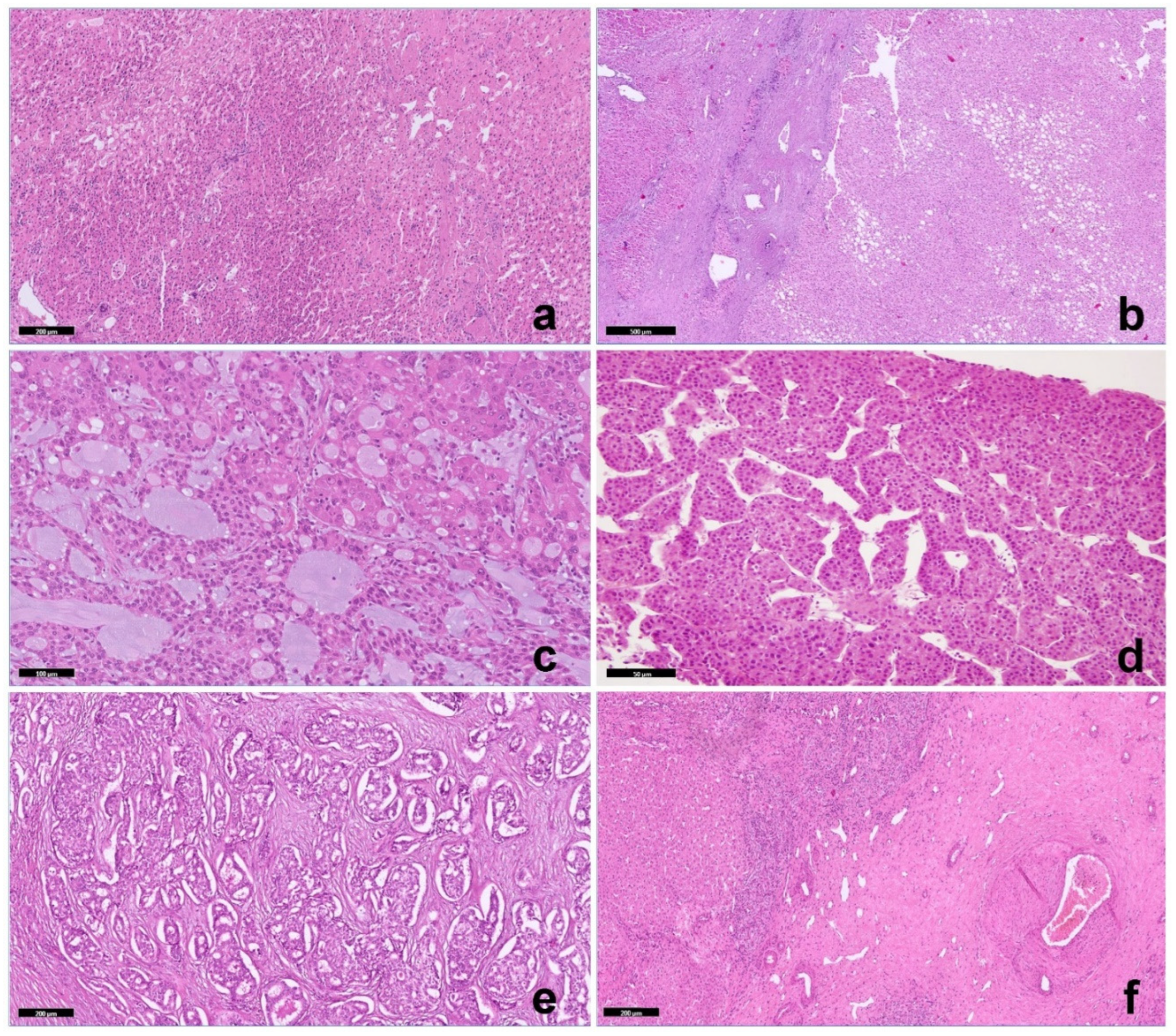 Preprints 84303 g001