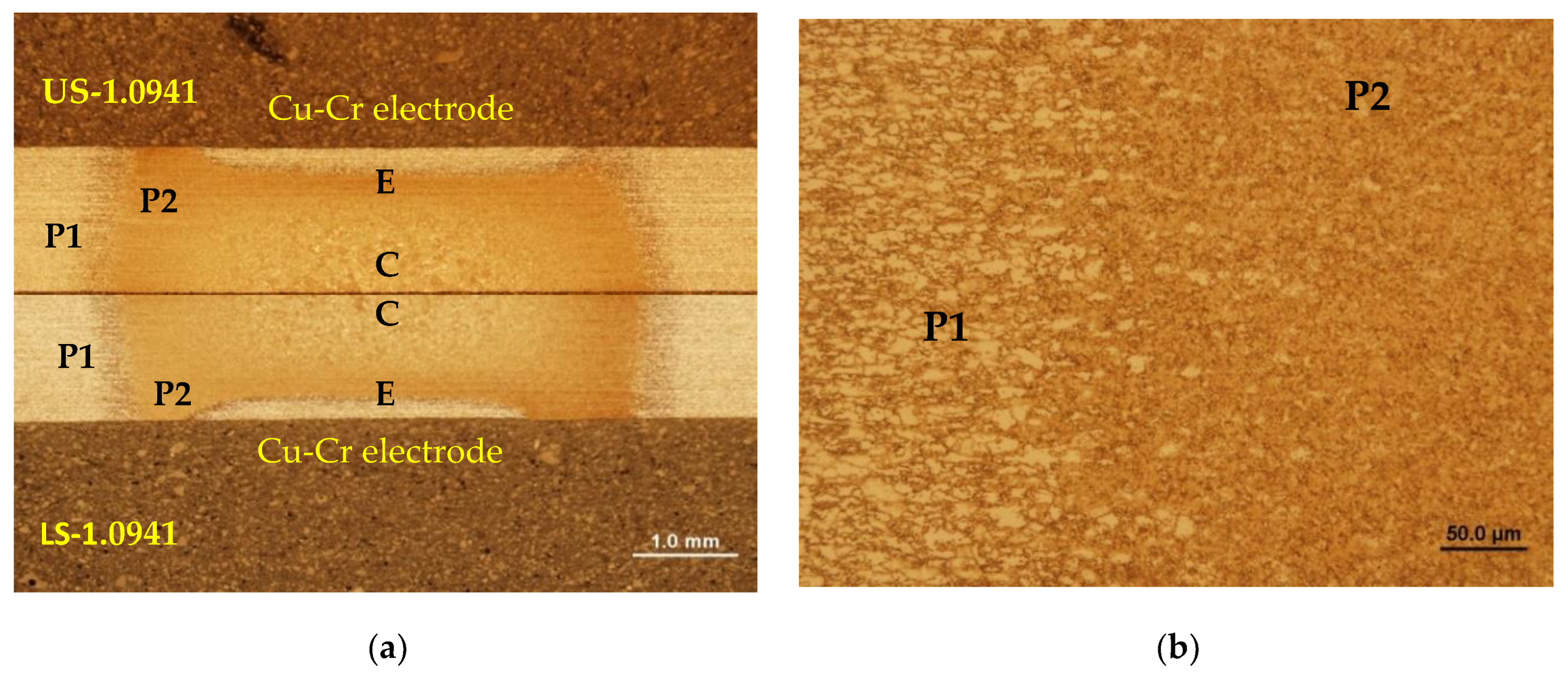 Preprints 76083 g013