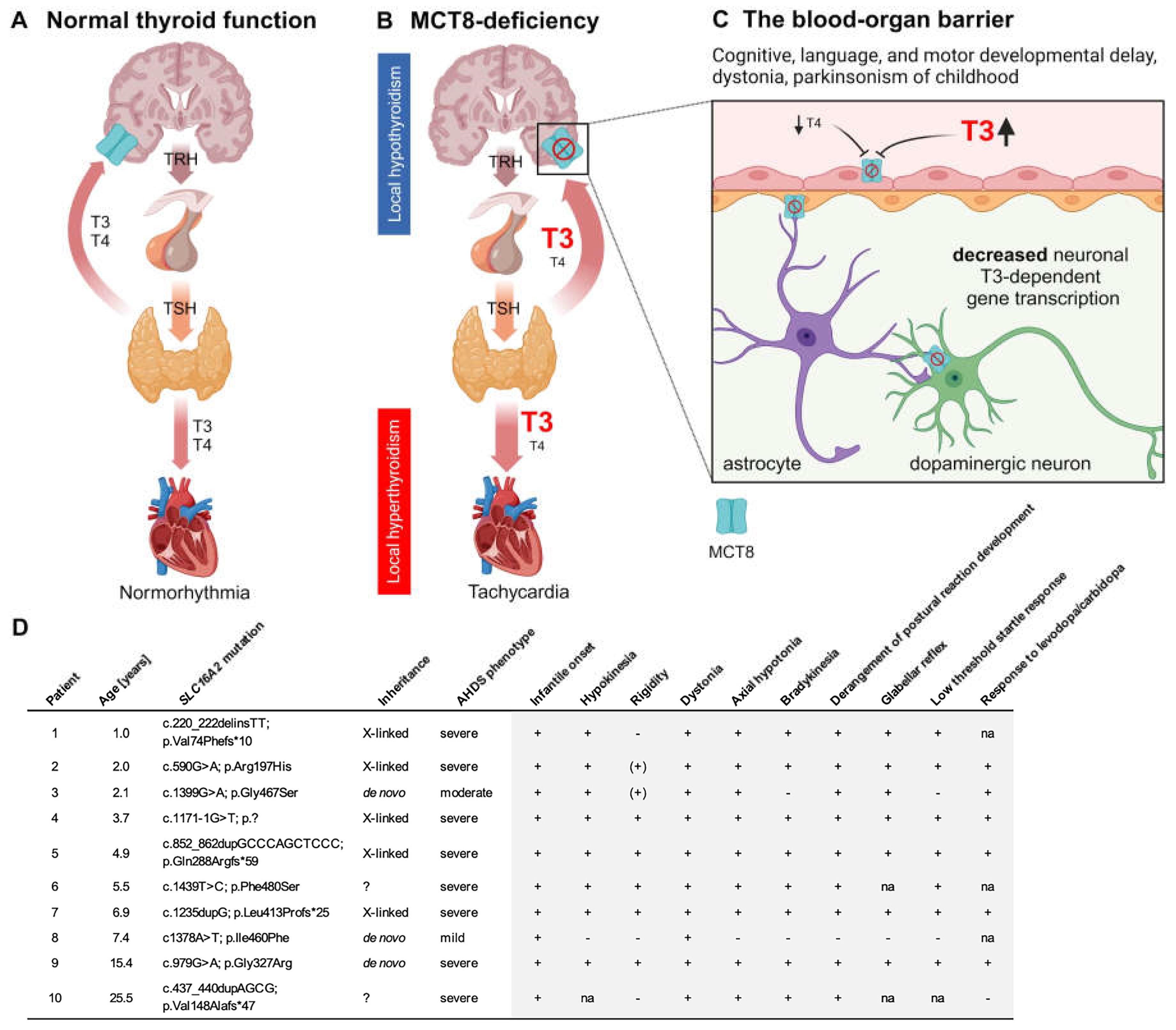 Preprints 117252 g001