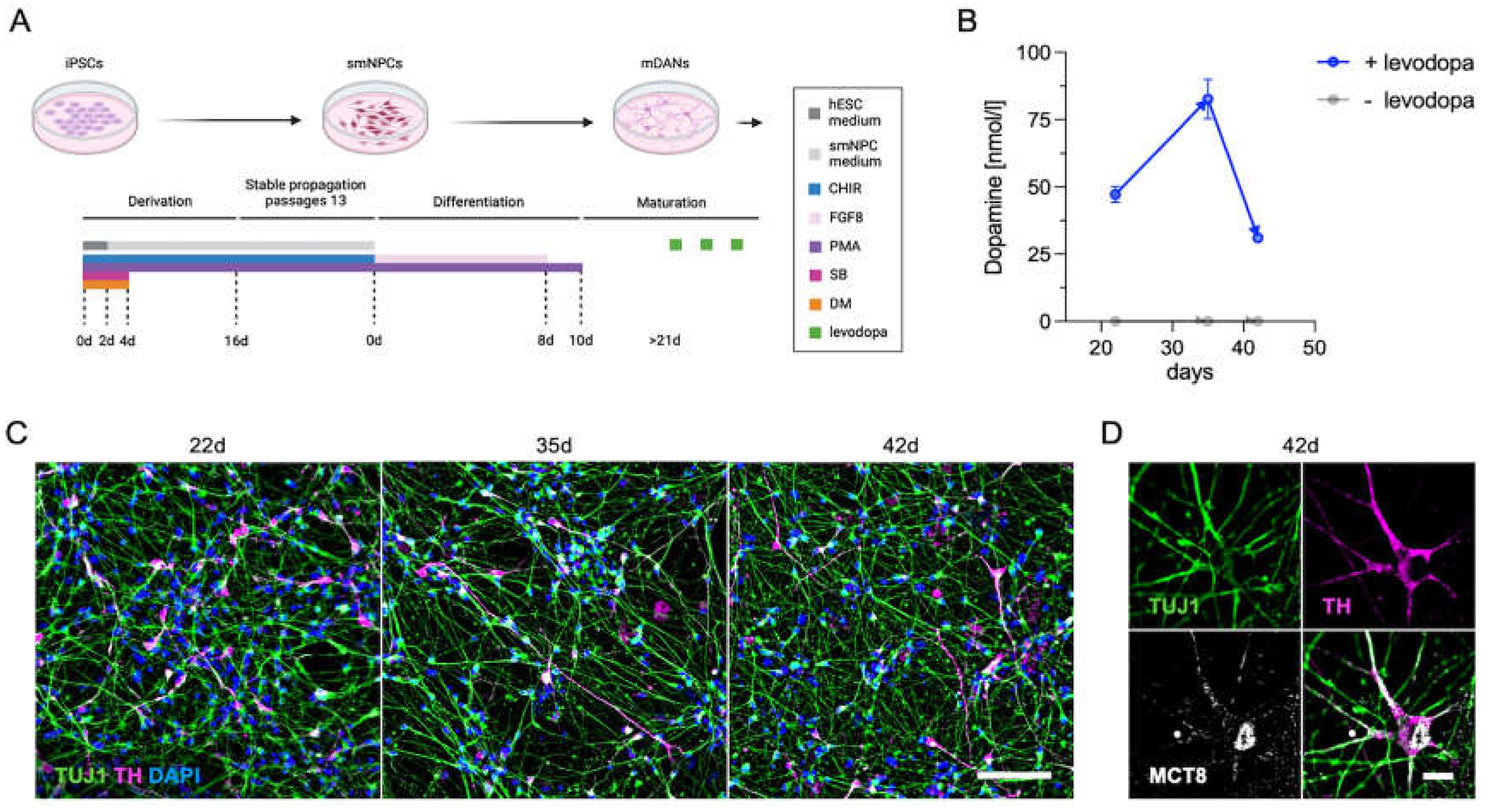 Preprints 117252 g005