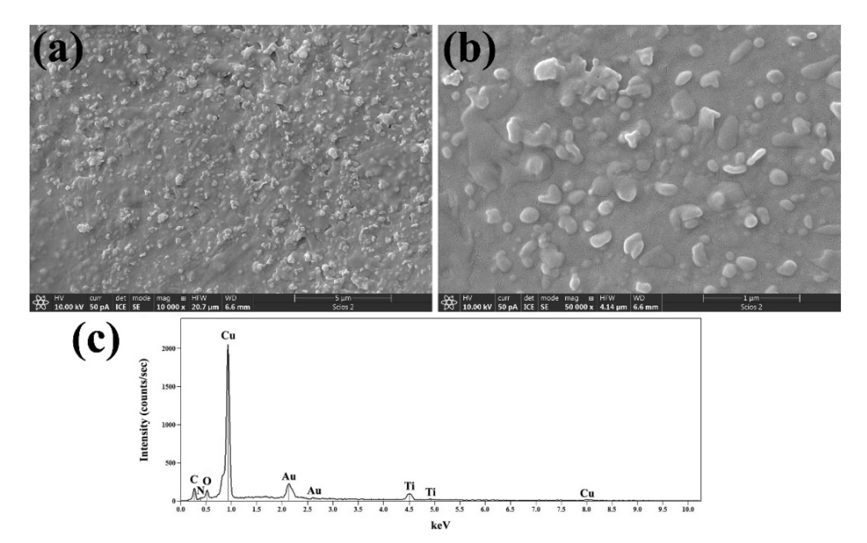 Preprints 82472 g001