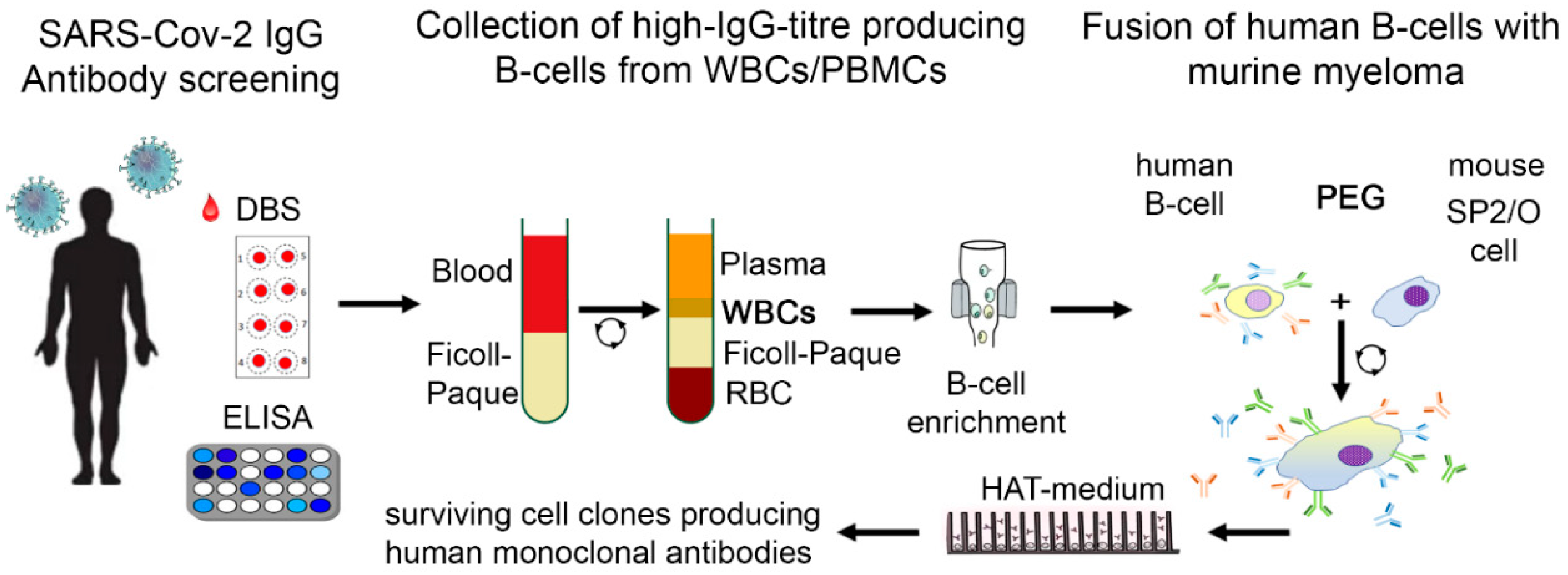 Preprints 73858 g001