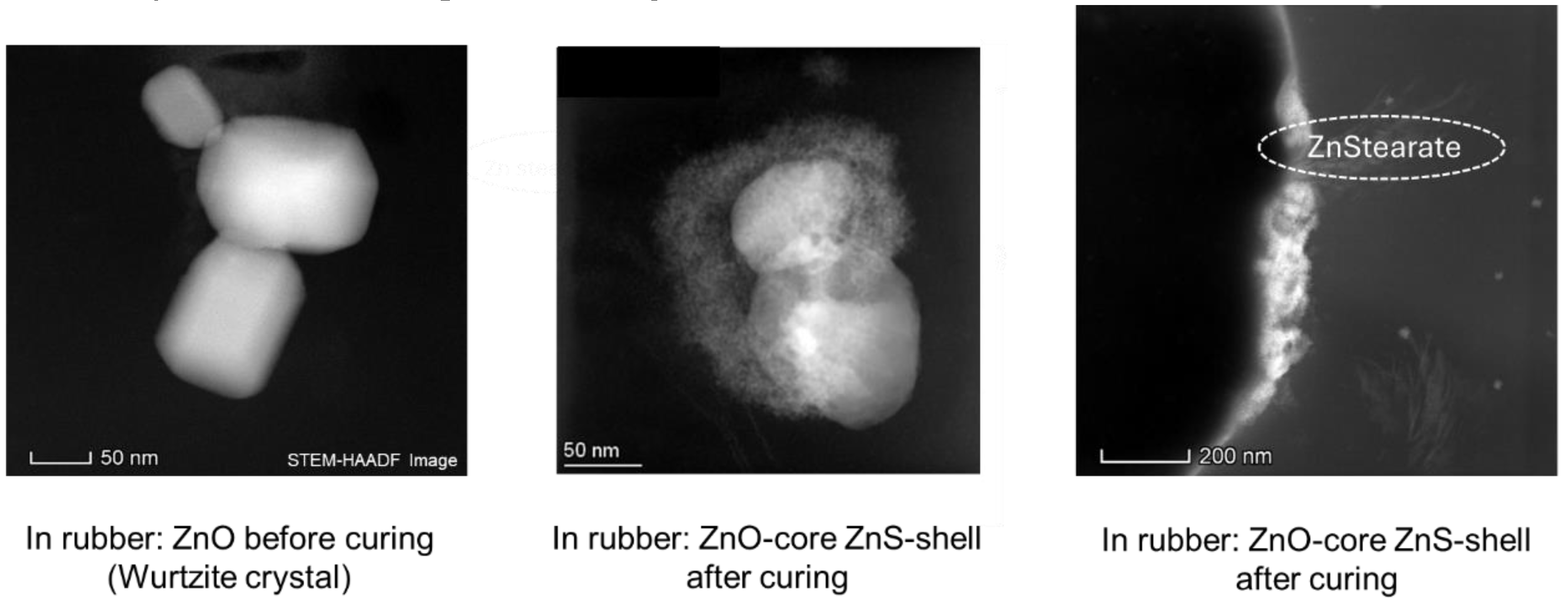 Preprints 116836 g003