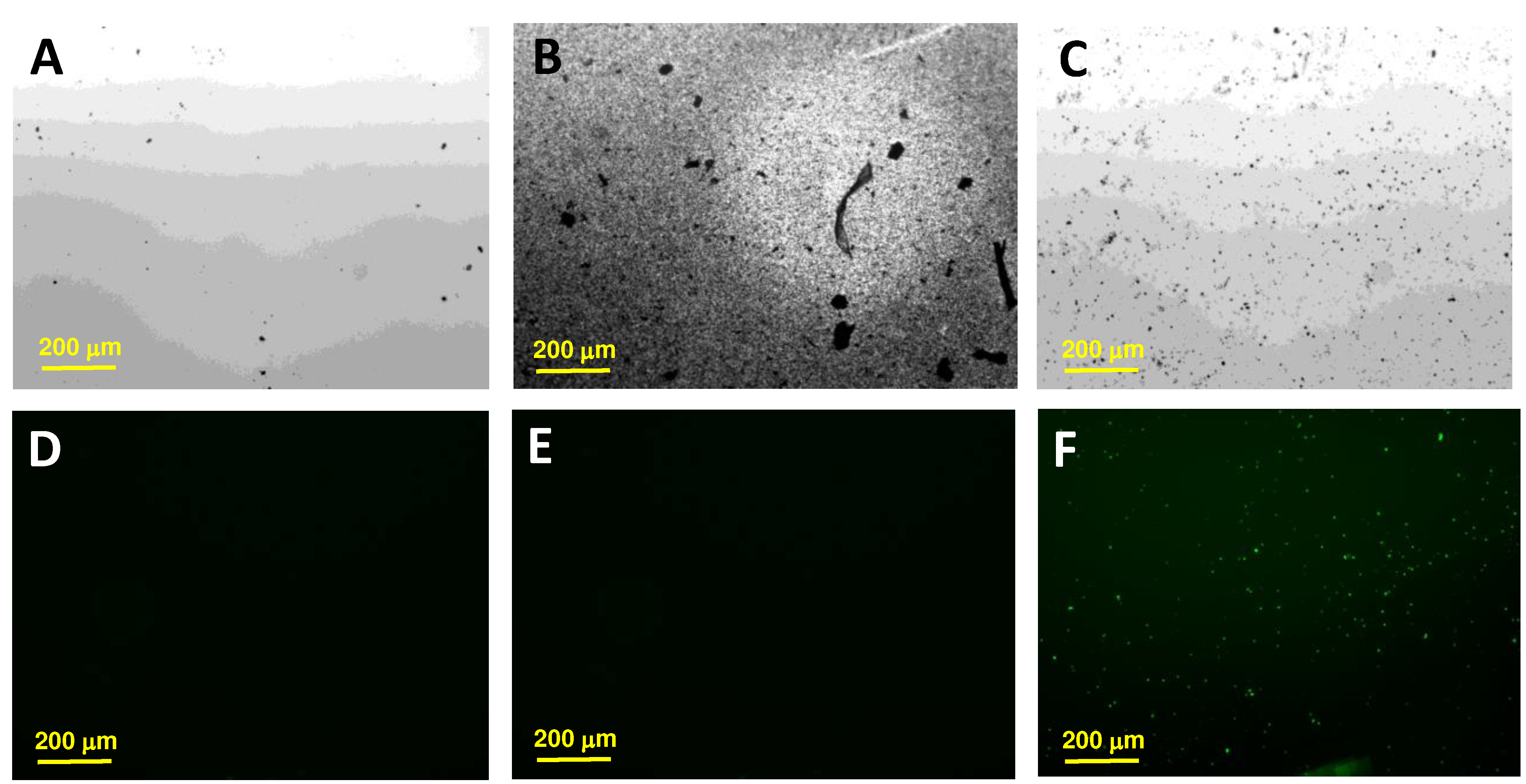 Preprints 84934 g003