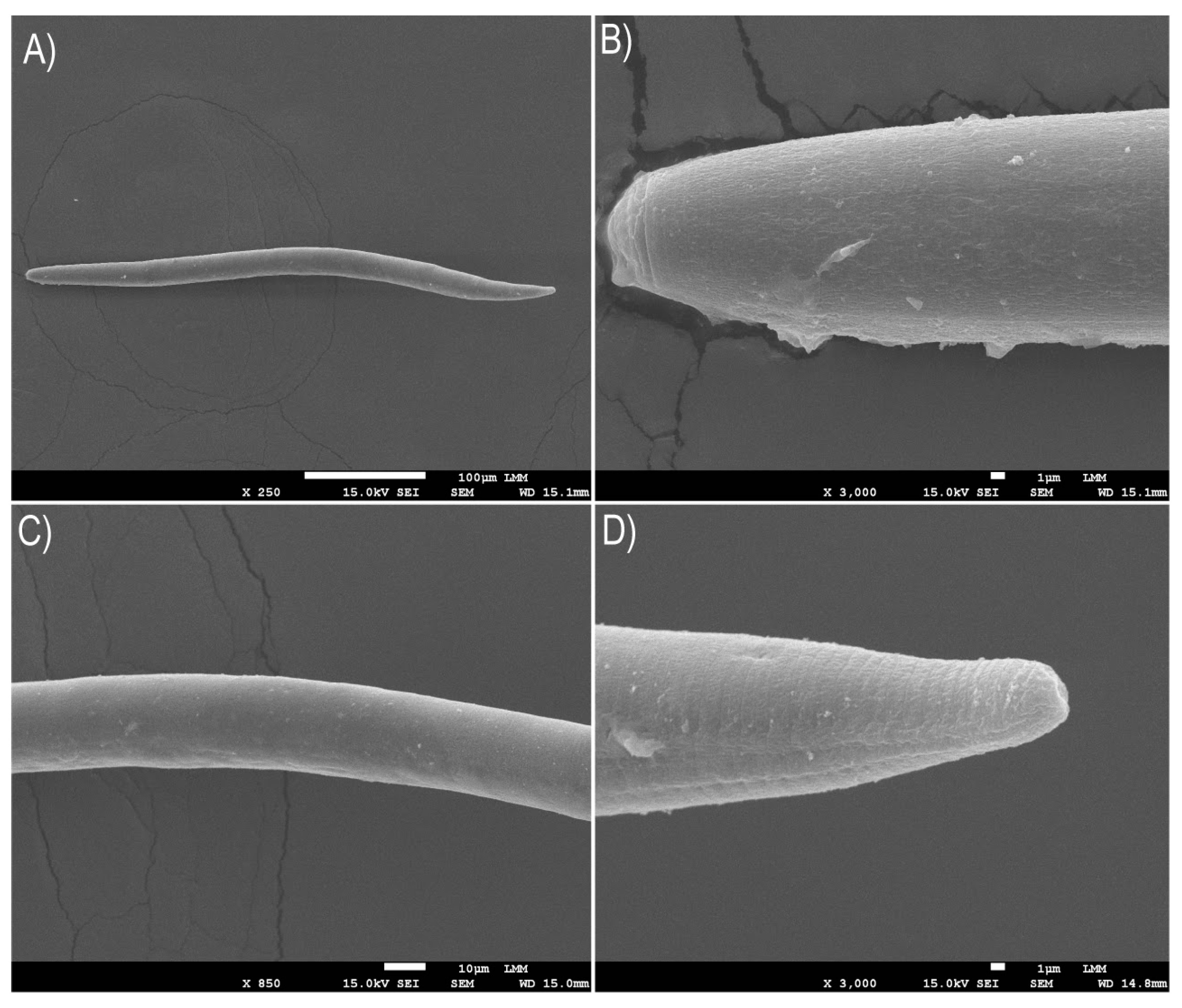 Preprints 89948 g007