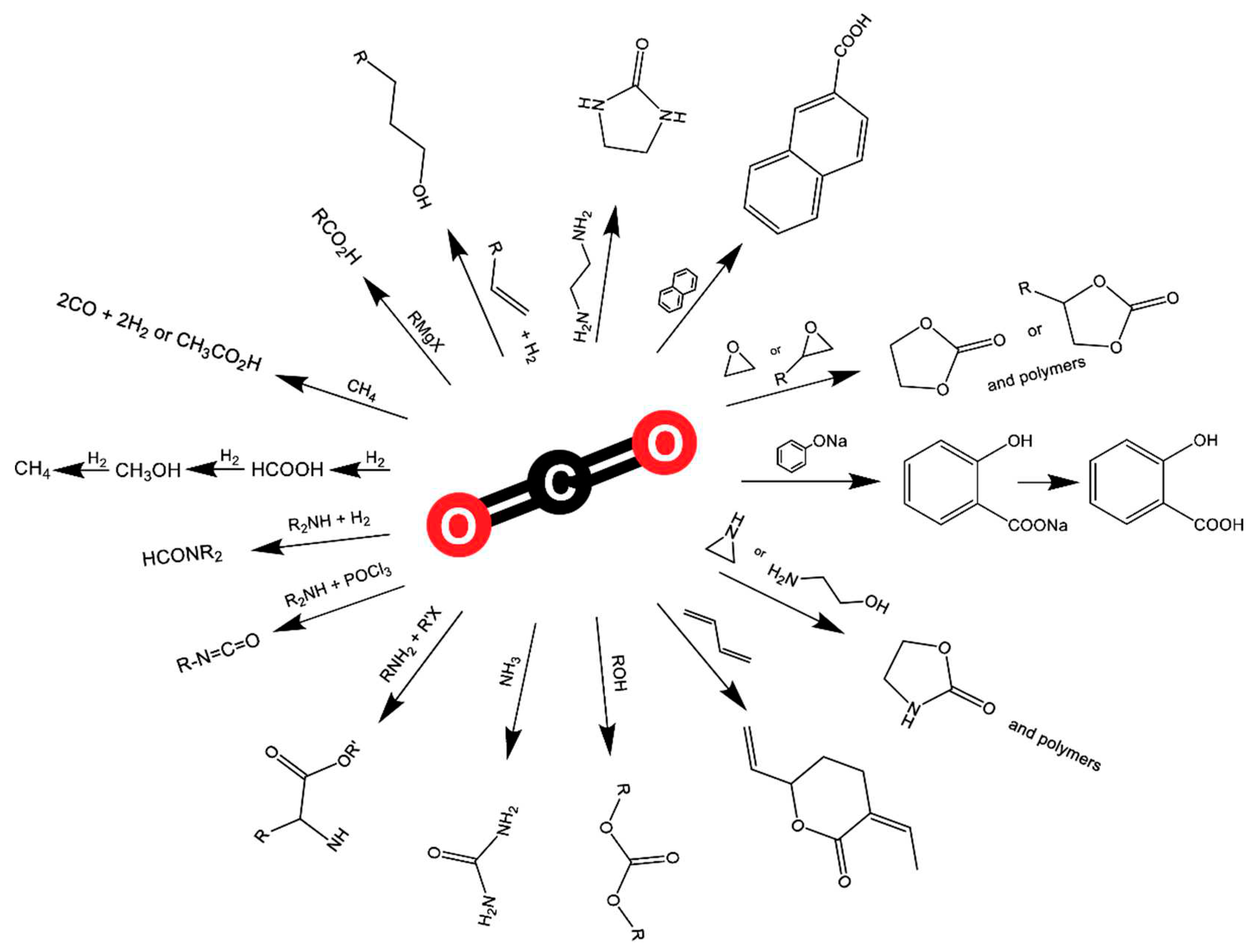 Preprints 98553 g020