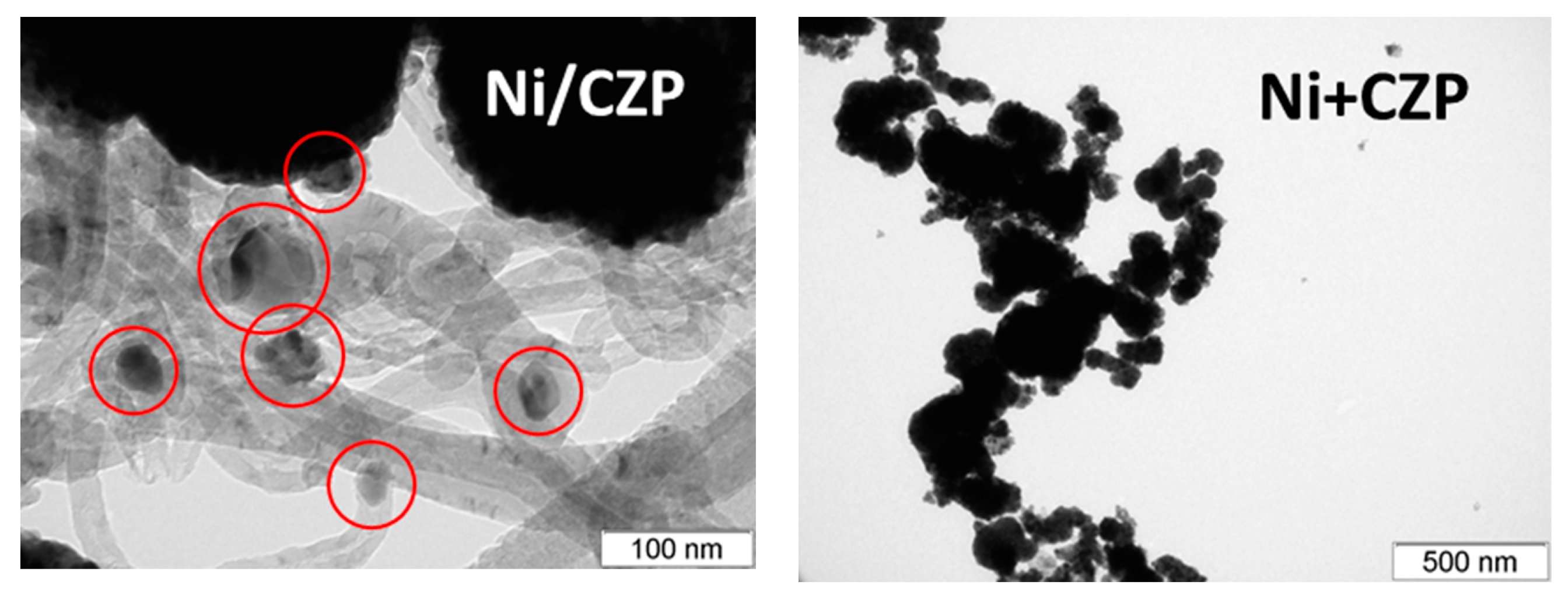 Preprints 73076 g008