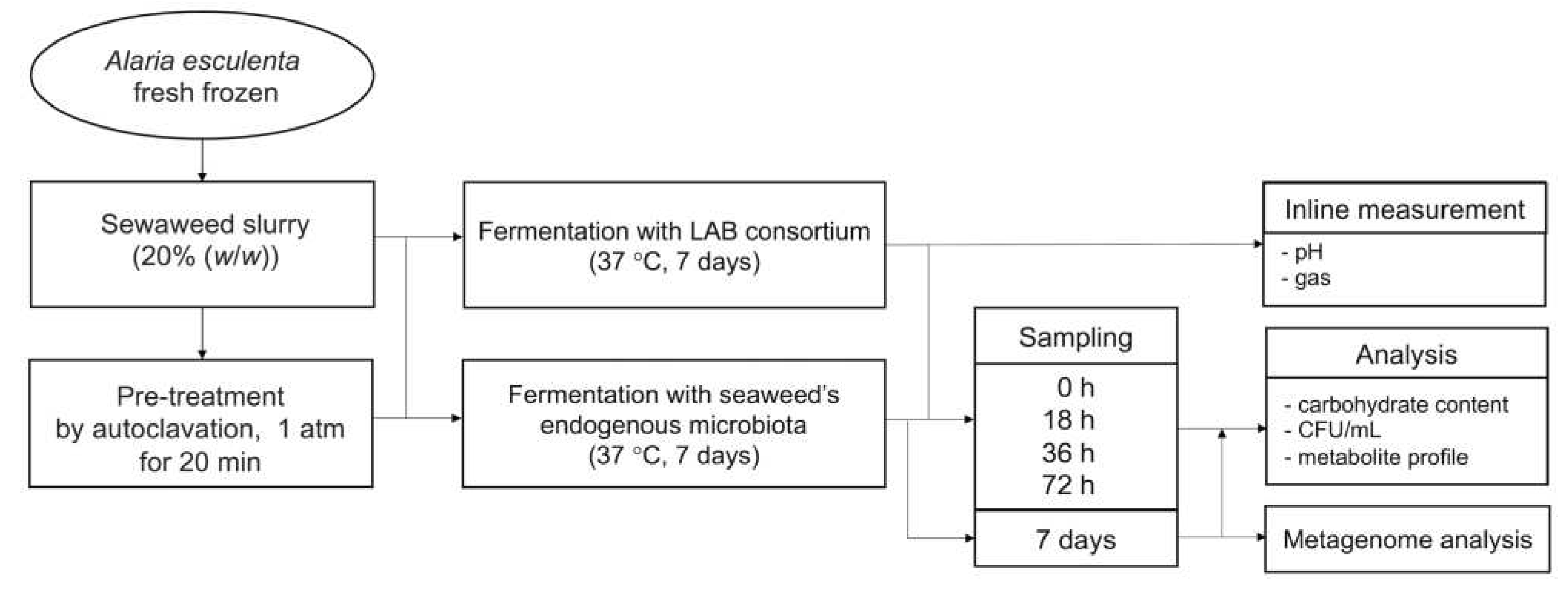 Preprints 70840 g001