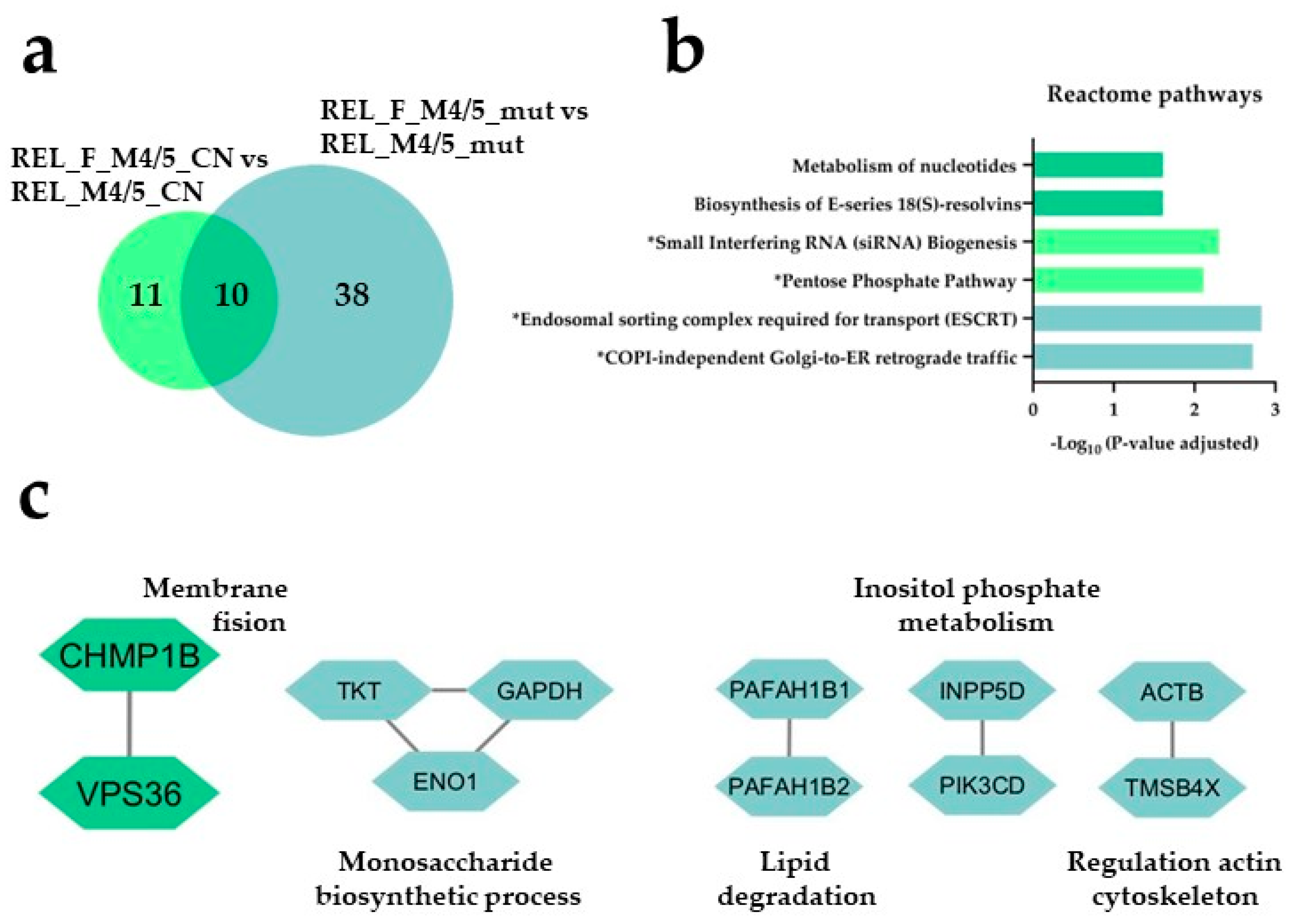 Preprints 88652 g006