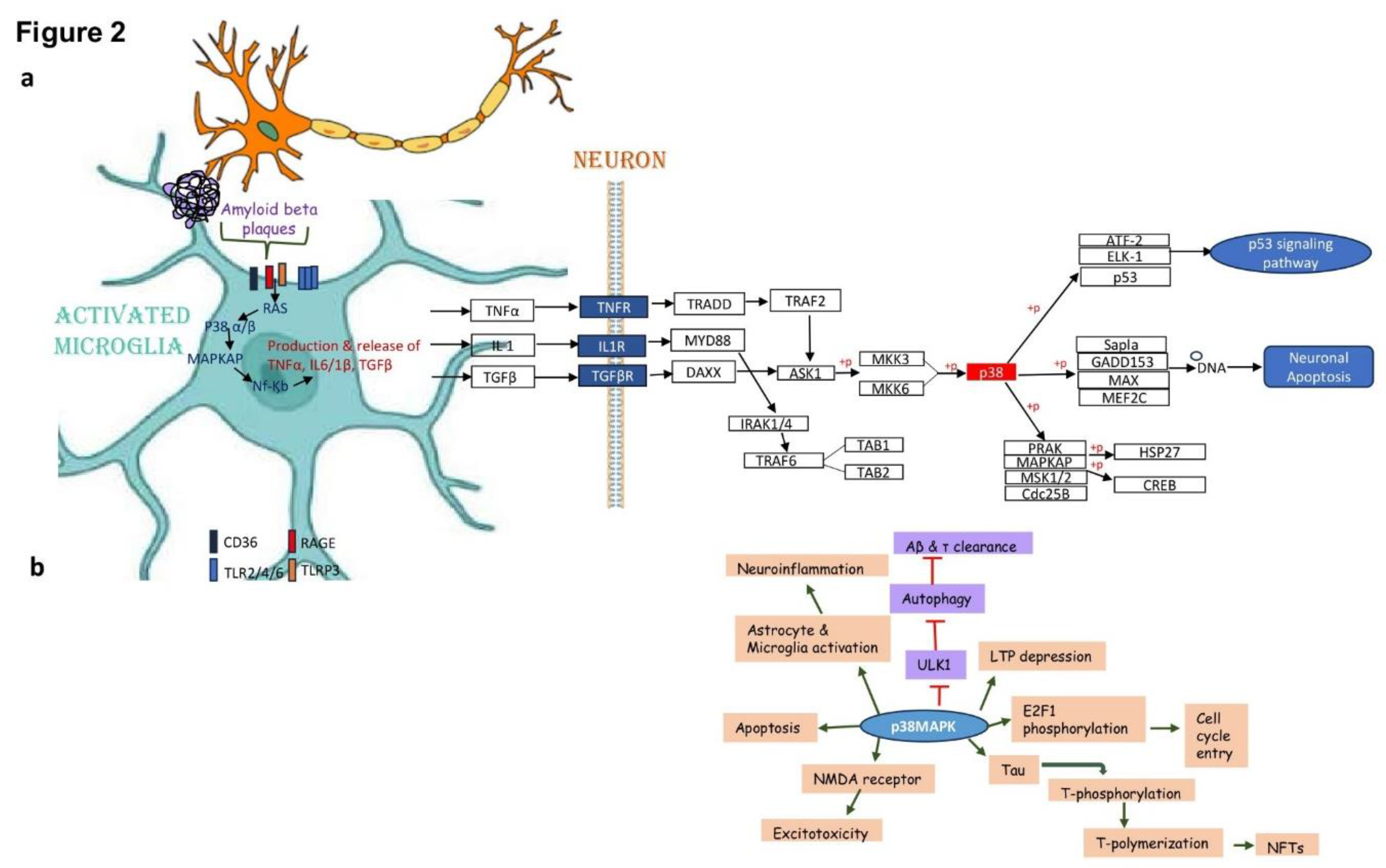 Preprints 93829 g002