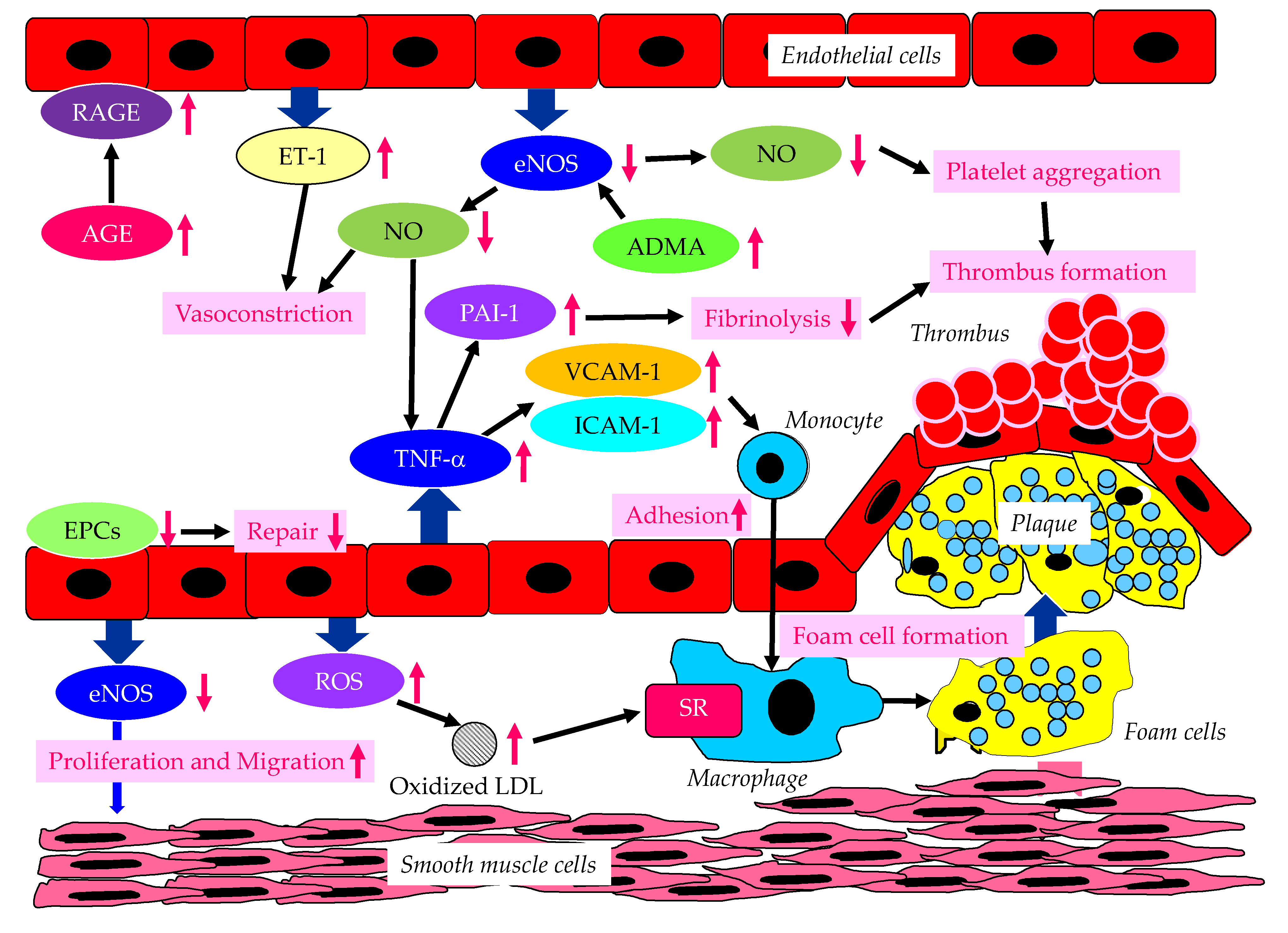 Preprints 71419 g001