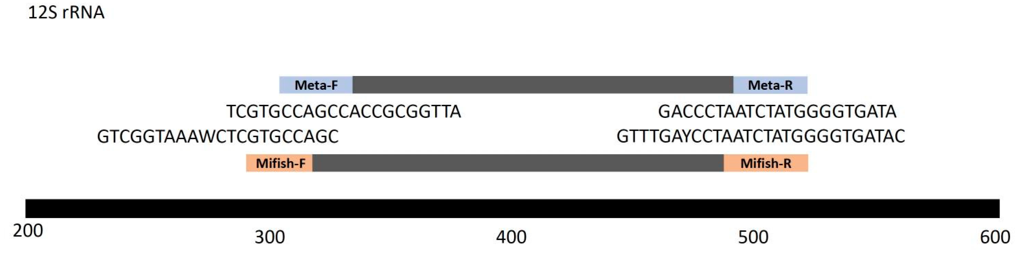 Preprints 94783 g002