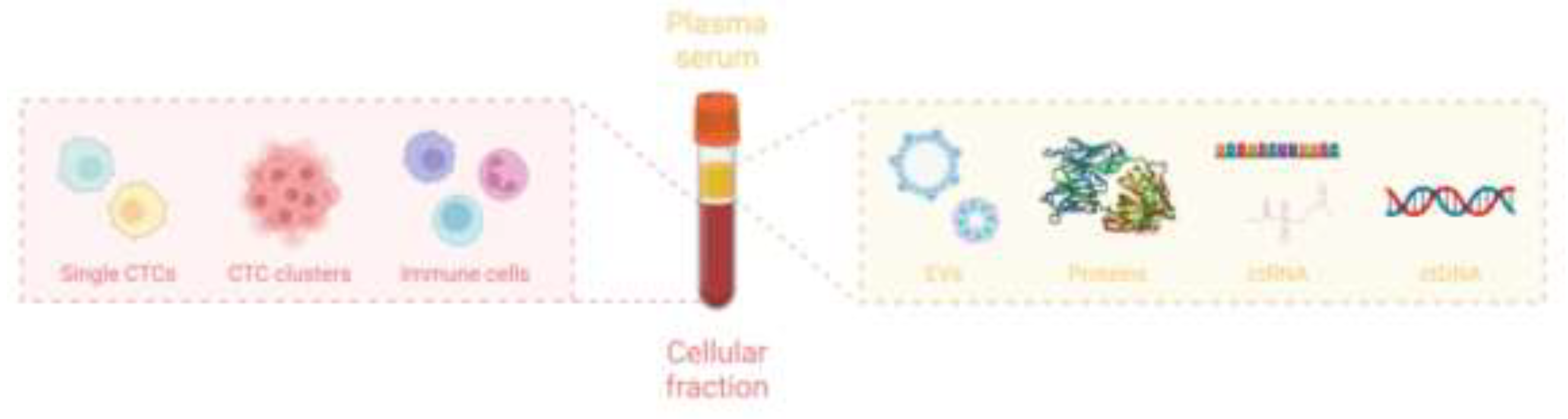 Preprints 109511 g003