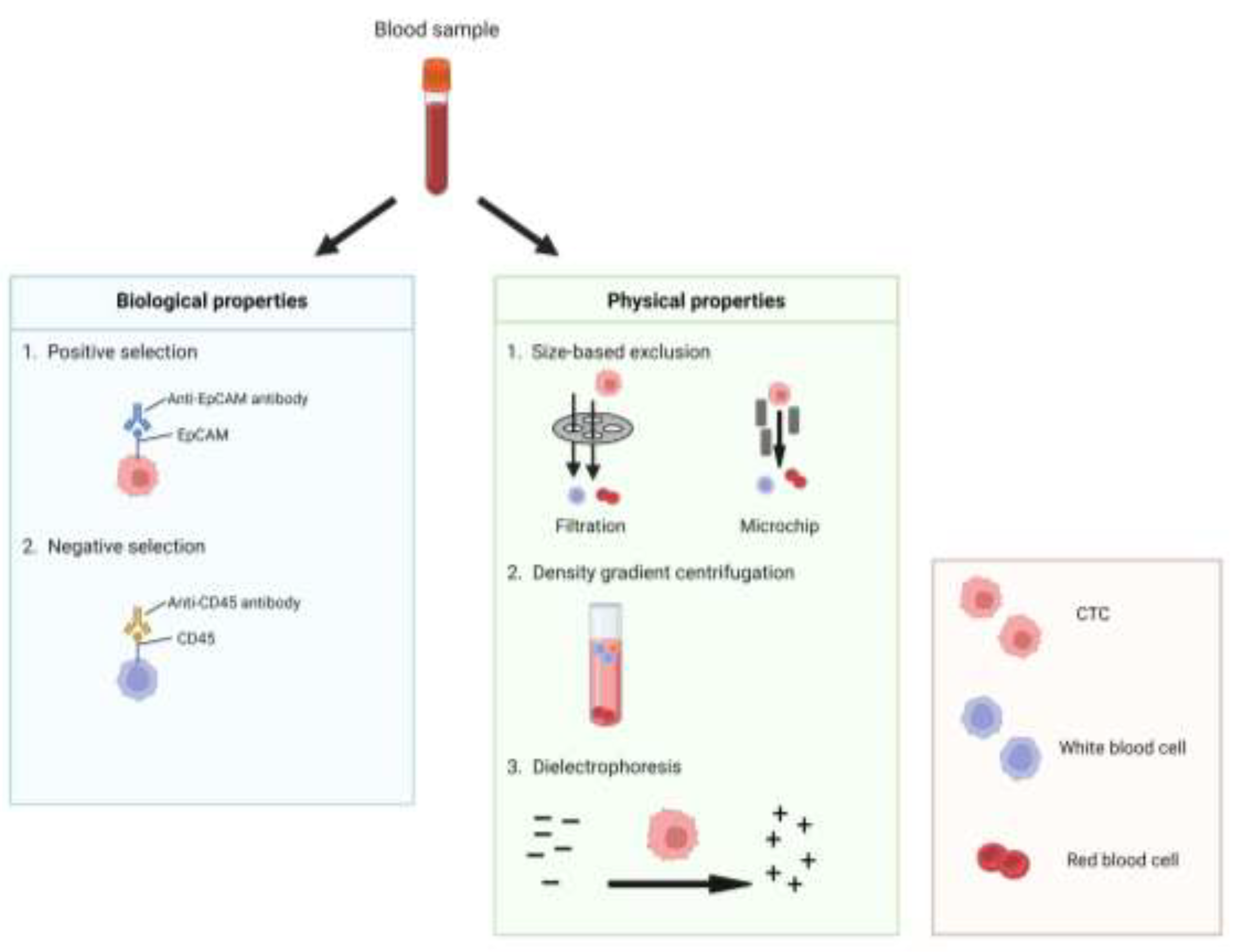 Preprints 109511 g004