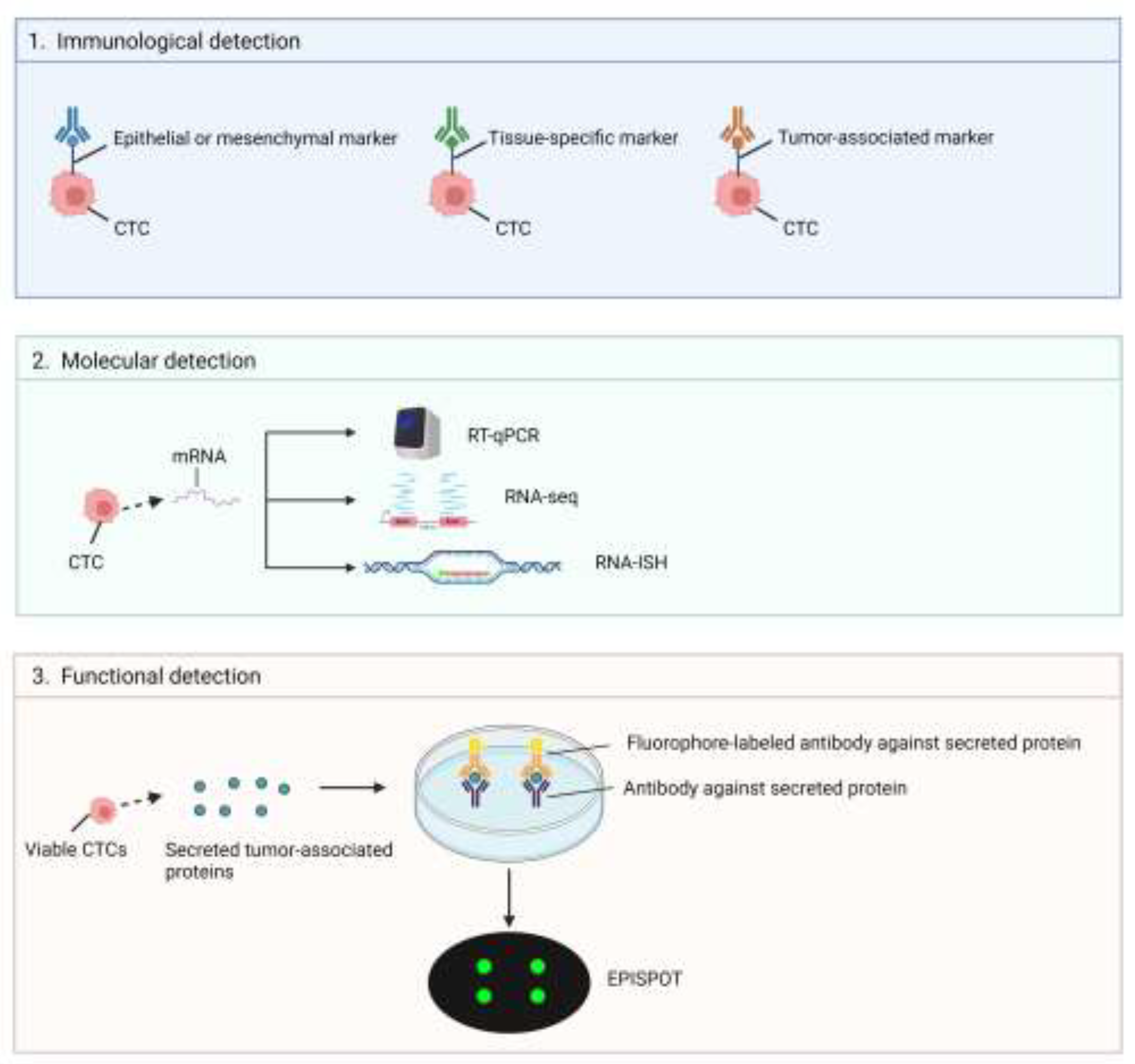 Preprints 109511 g005