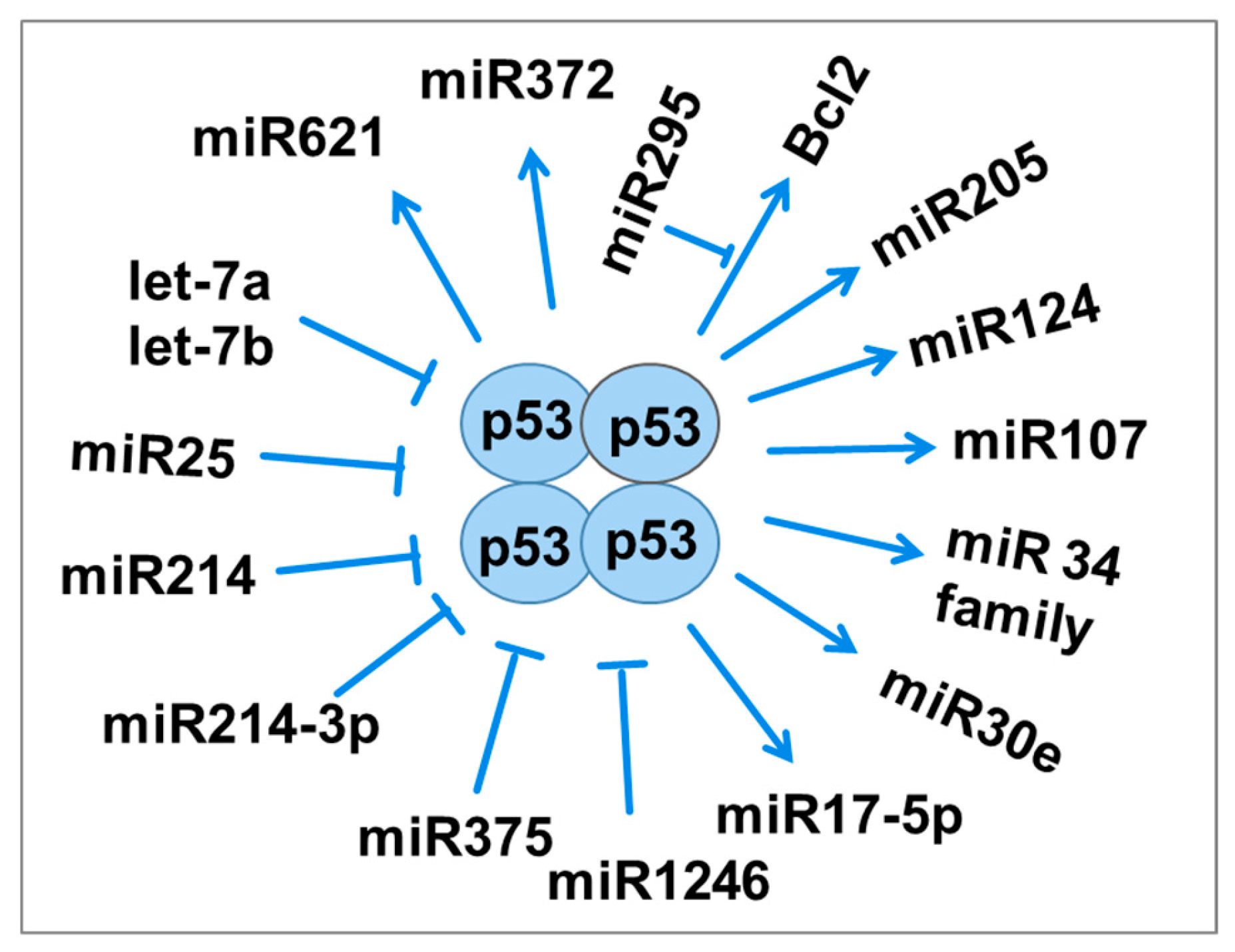 Preprints 116518 g004