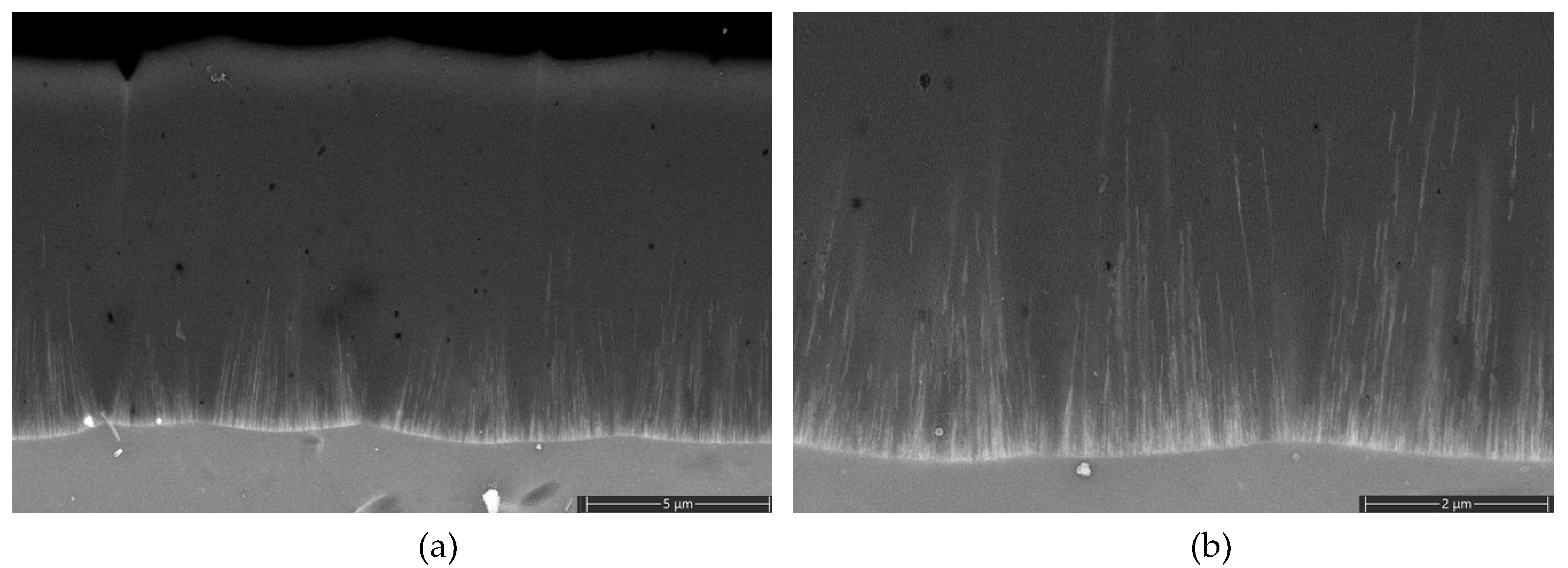 Preprints 103920 g008