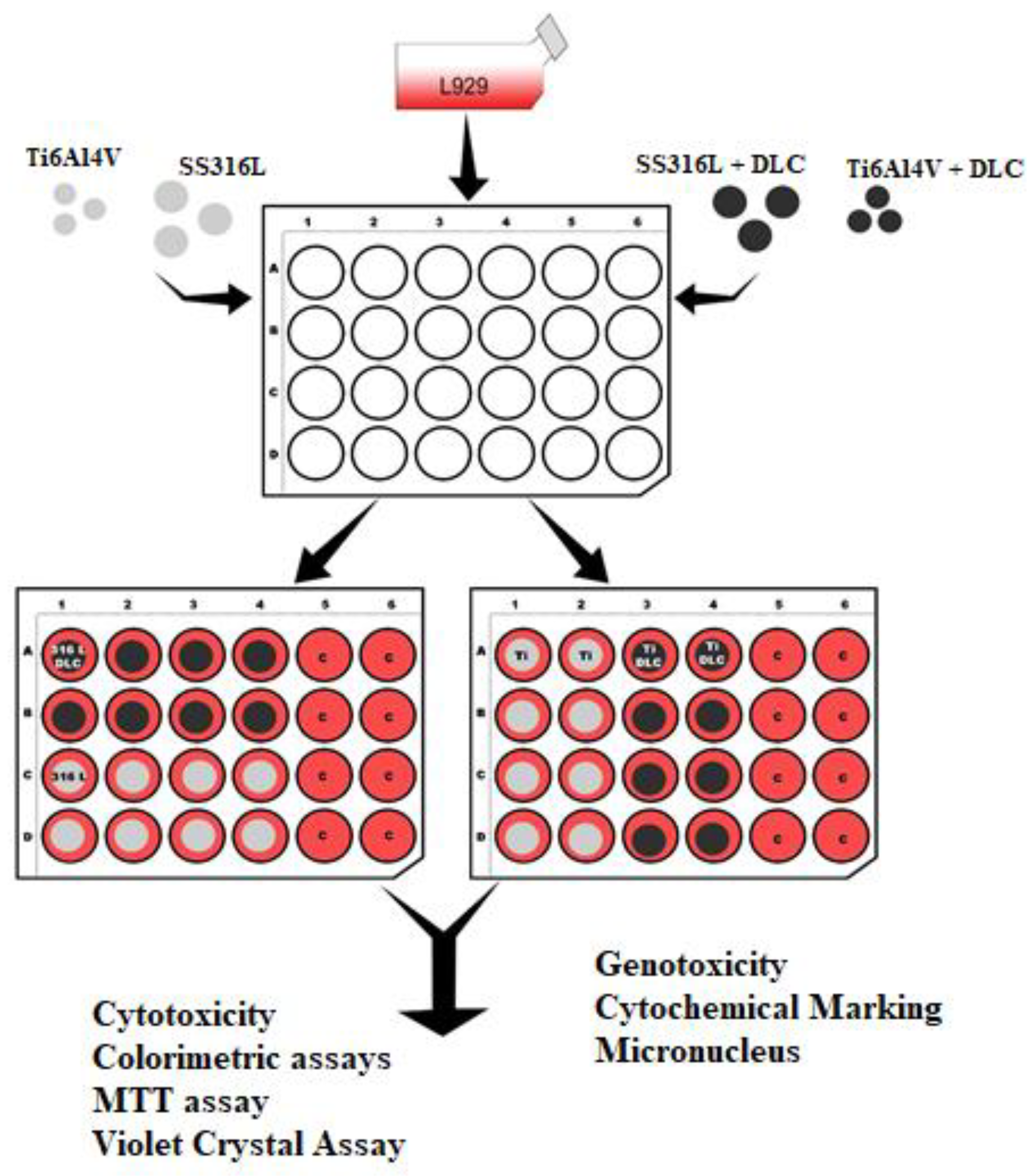 Preprints 74943 g002